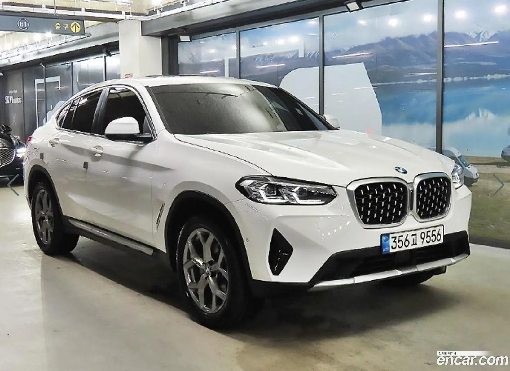 BMW X4 G02 xDrive20I Xline - фотография 6885968