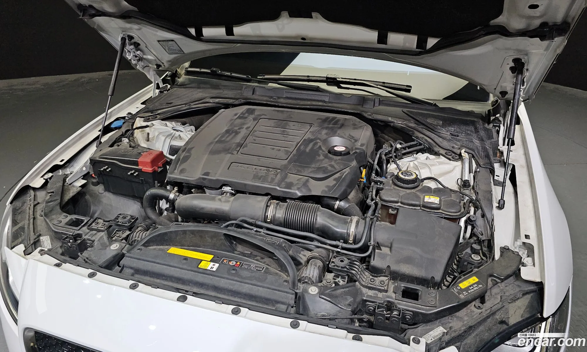Jaguar Xf X260 25T Portfolio - фотография 3930946