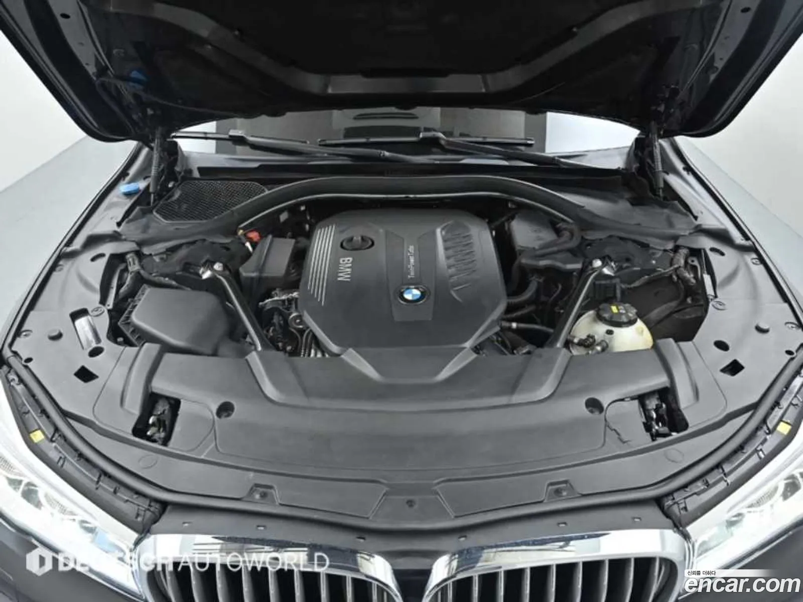 BMW 7 Series G11 740Ld xDrive - фотография 2622281