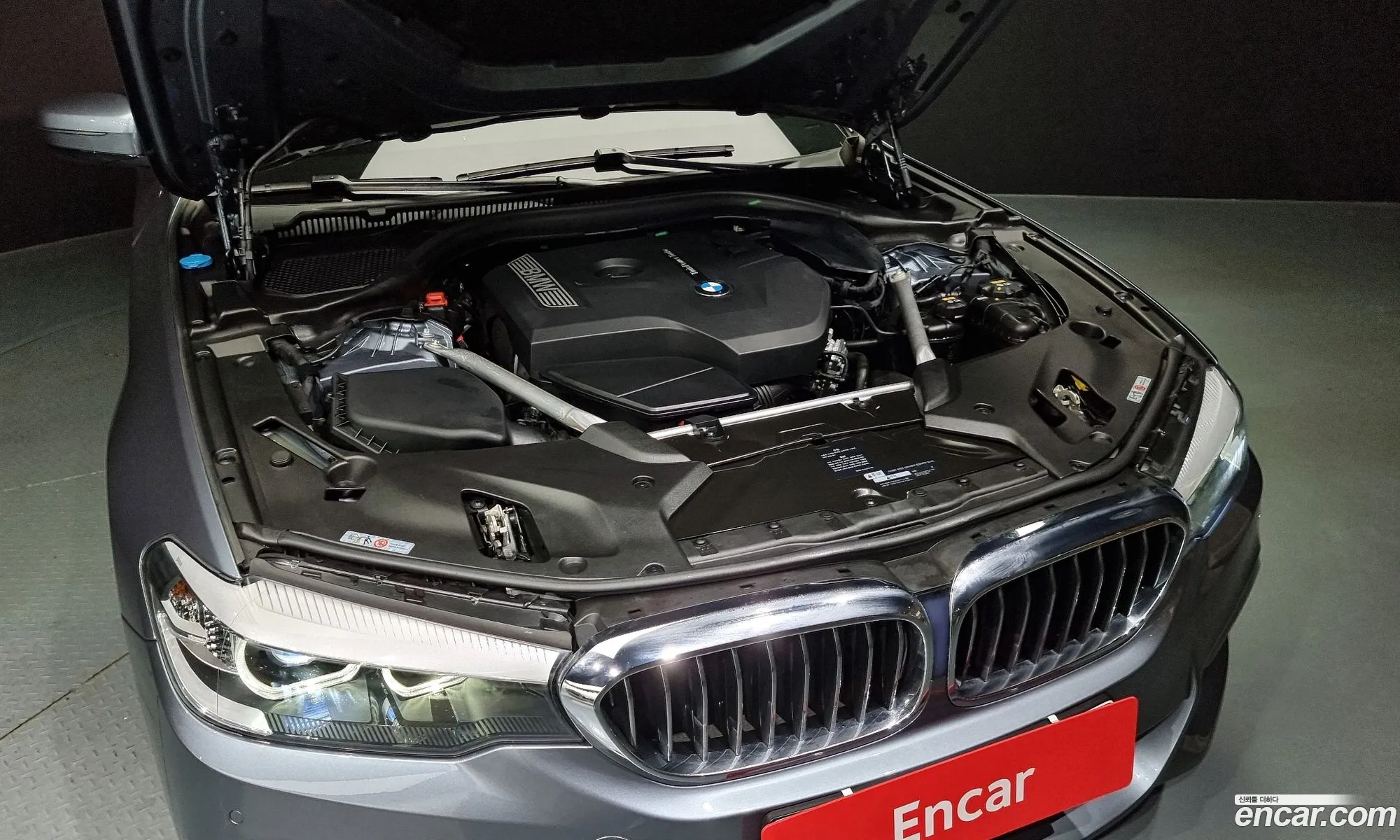 BMW 5 Series G30 520I Luxury - фотография 18545786