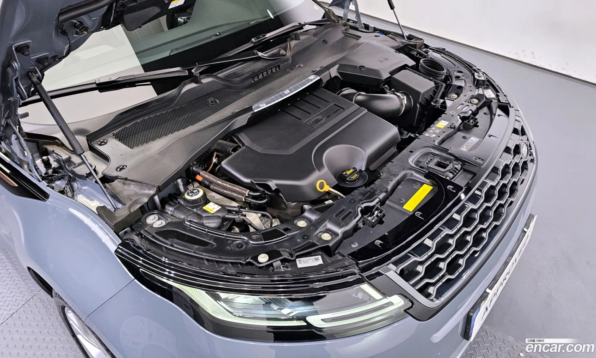 Korex Auto Trade - фотография 7137306