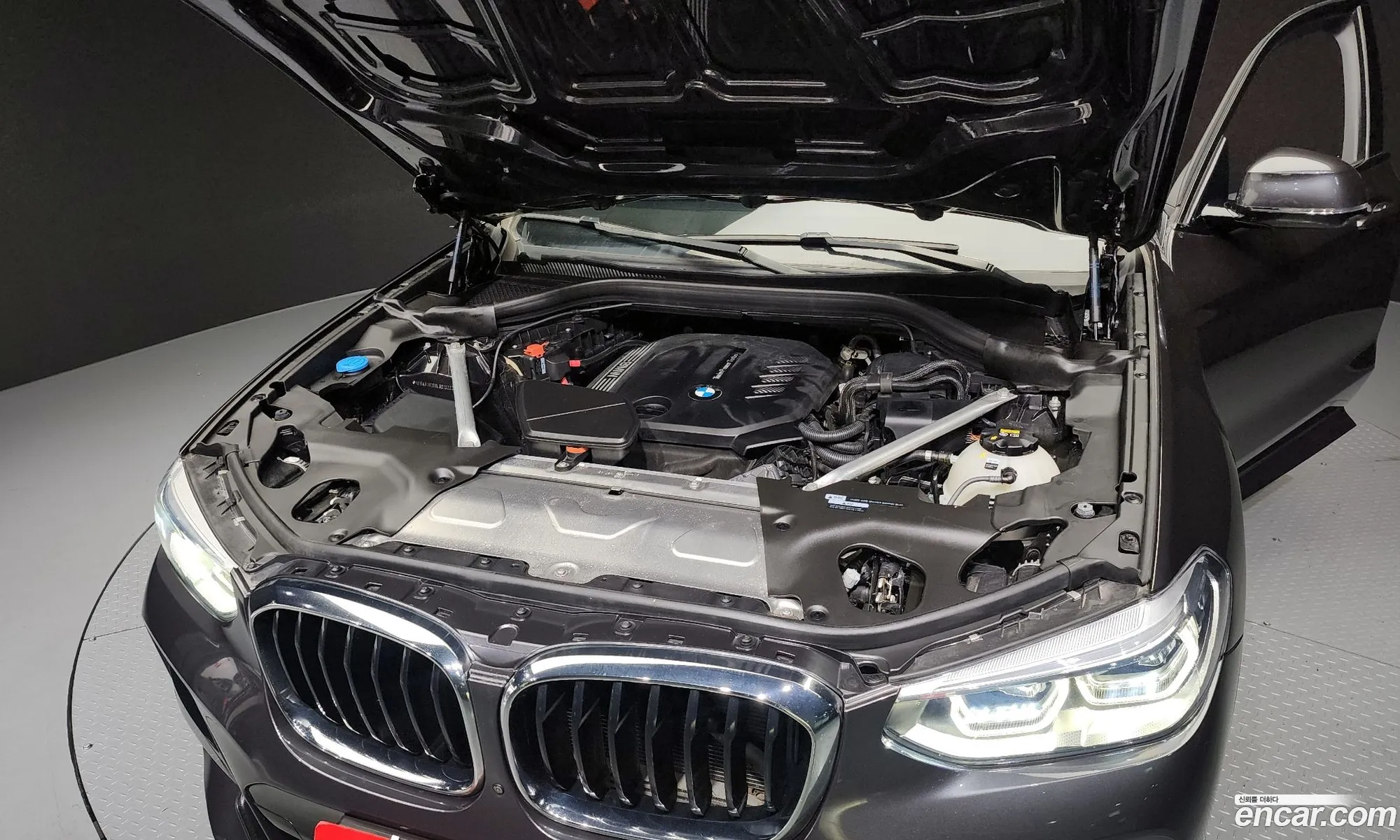 BMW X4 G02 xDrive20D M Sports - фотография 6615503