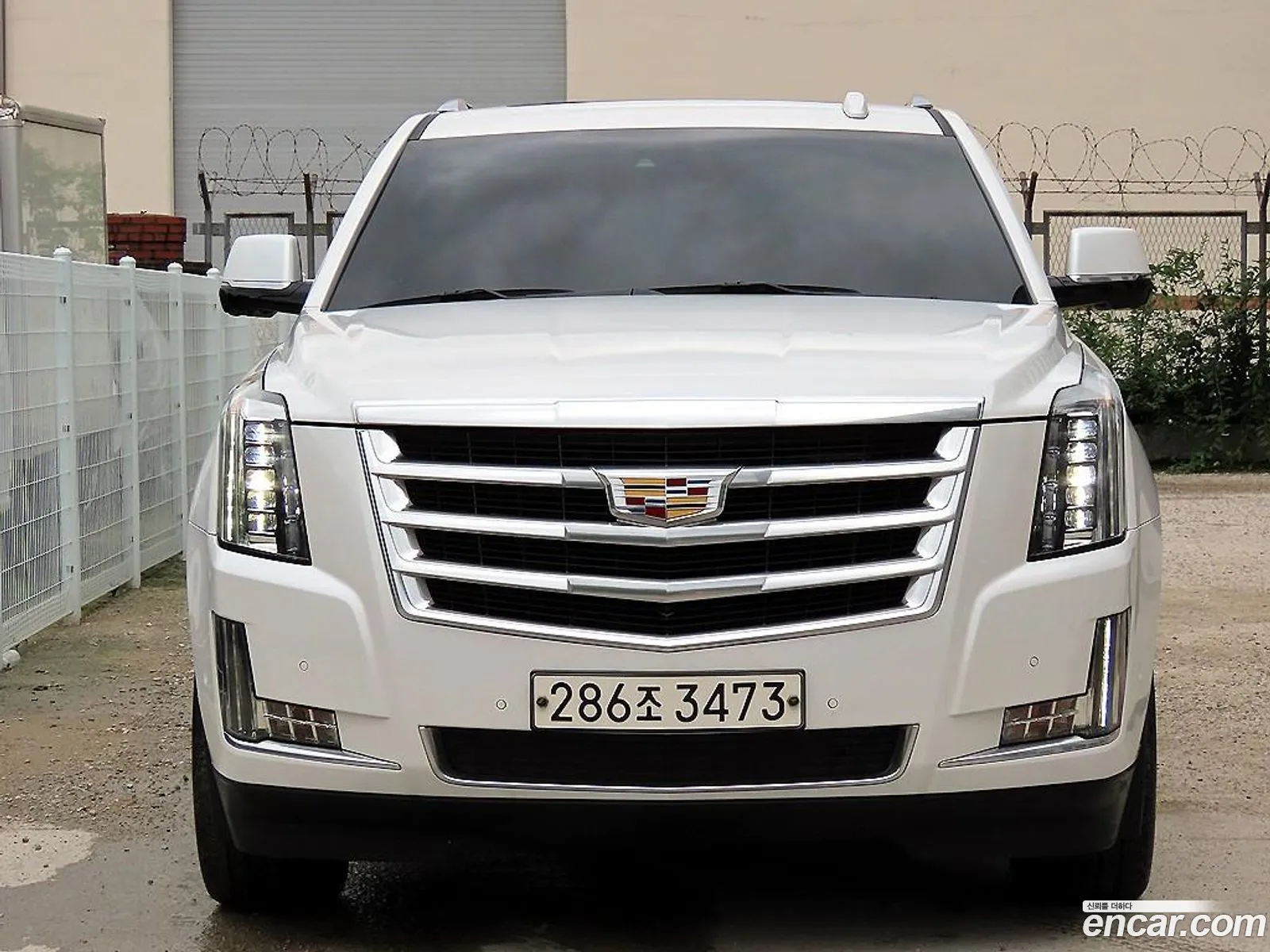 Escalade 624 Generation - фотография 3902145