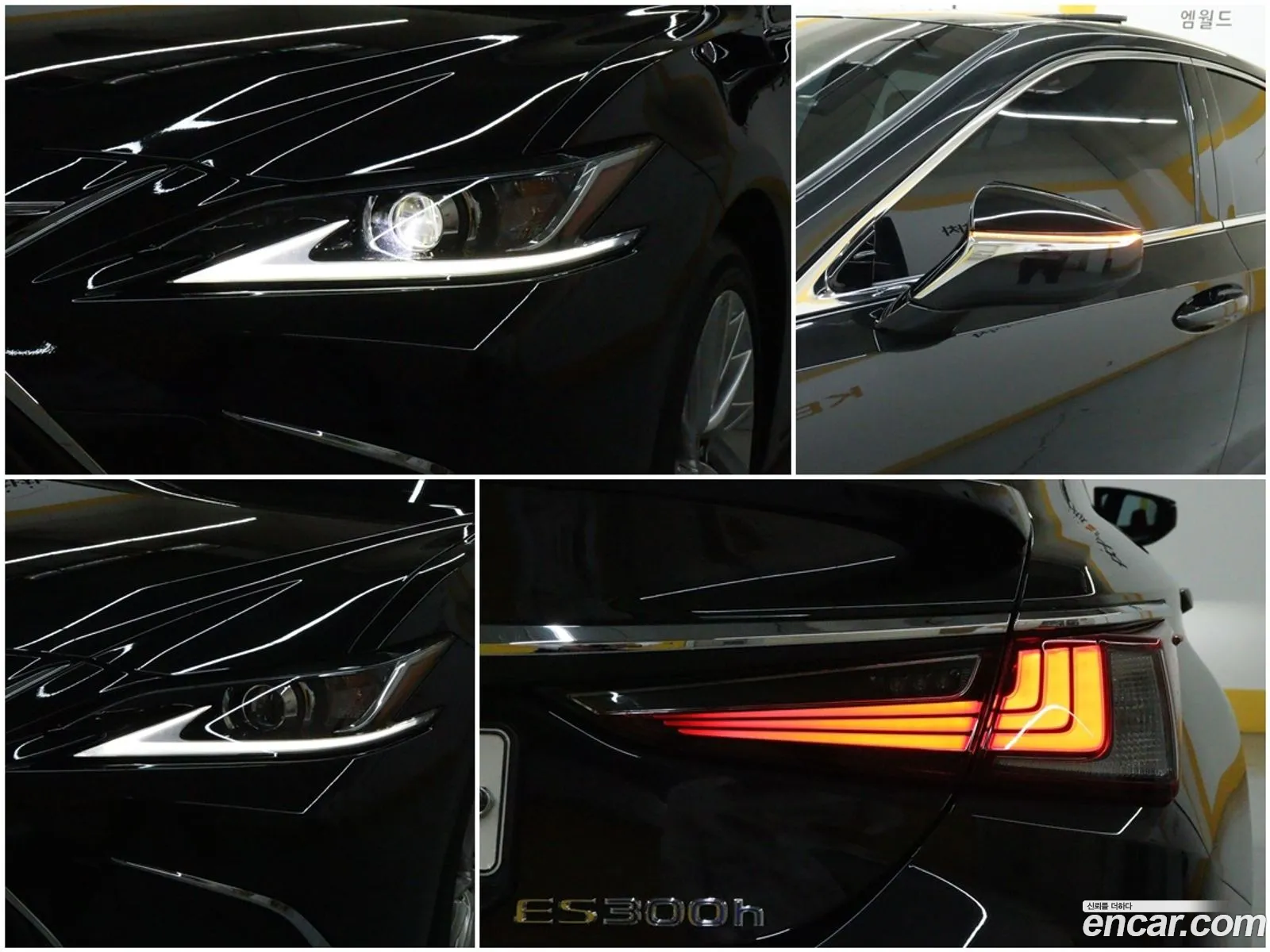 Korex Auto Trade - фотография 6735672