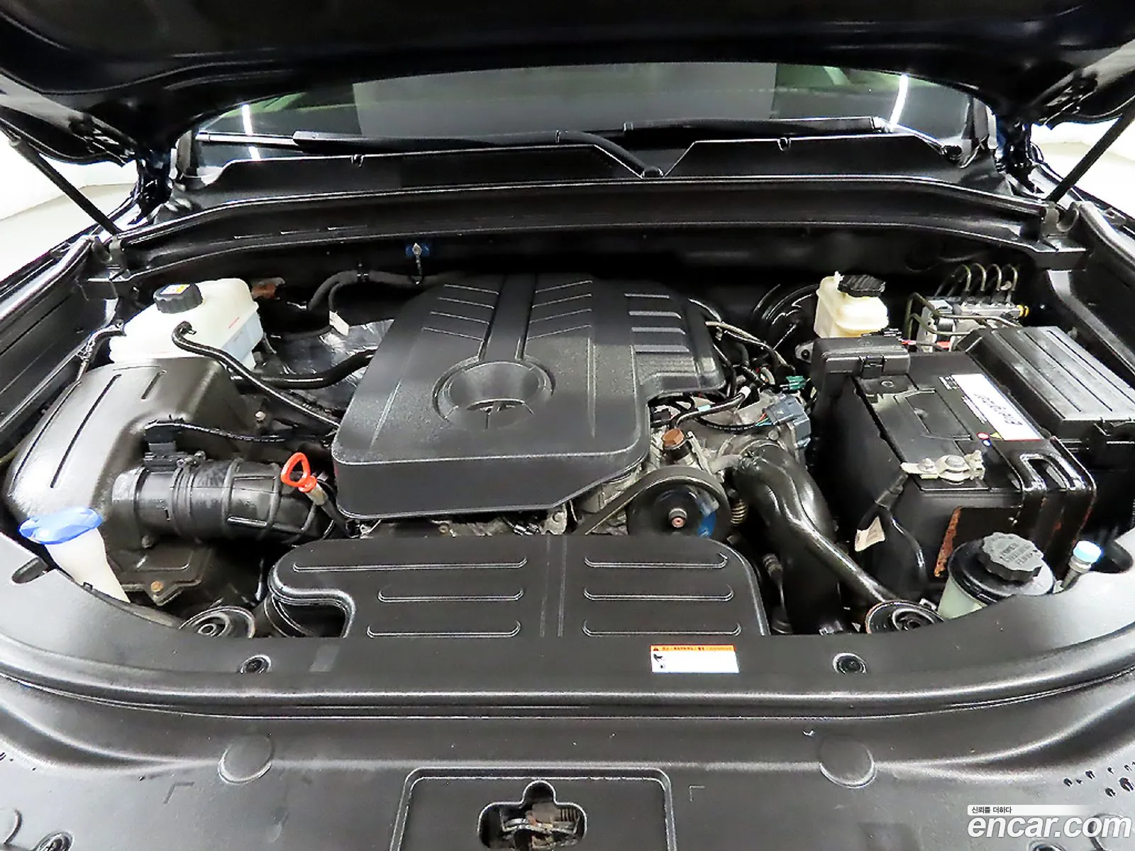 Kg Mobility Ssangyong G4 Rexton Diesel 22 4Wd Eurasia Edition - фотография 6972365