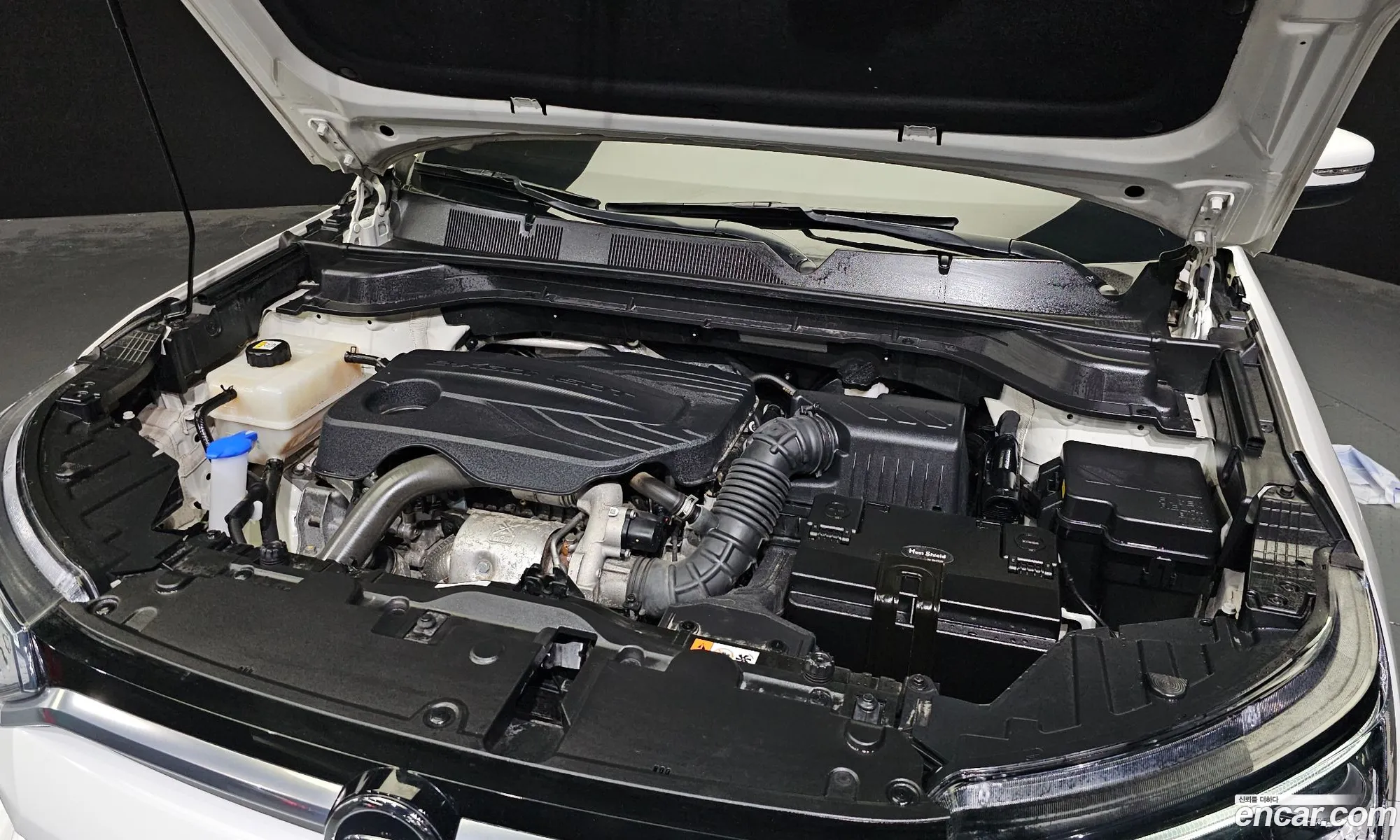 Kg Mobility Ssangyong Beautiful Korando Gasoline 15 2Wd C5 Plus - фотография 6907562