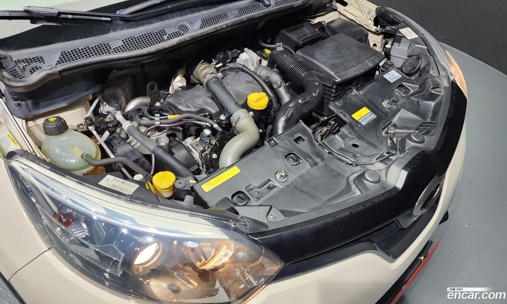 Renault Korea Samsung Qm3 Le - фотография 8145036