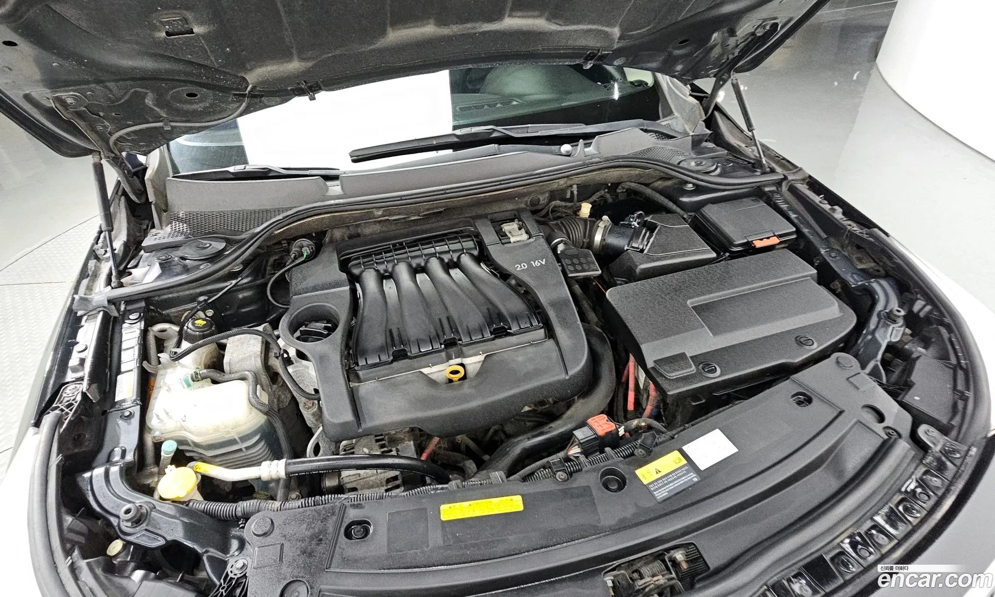 Renault Korea Samsung New Sm5 Platinum Se Plus - фотография 8145012
