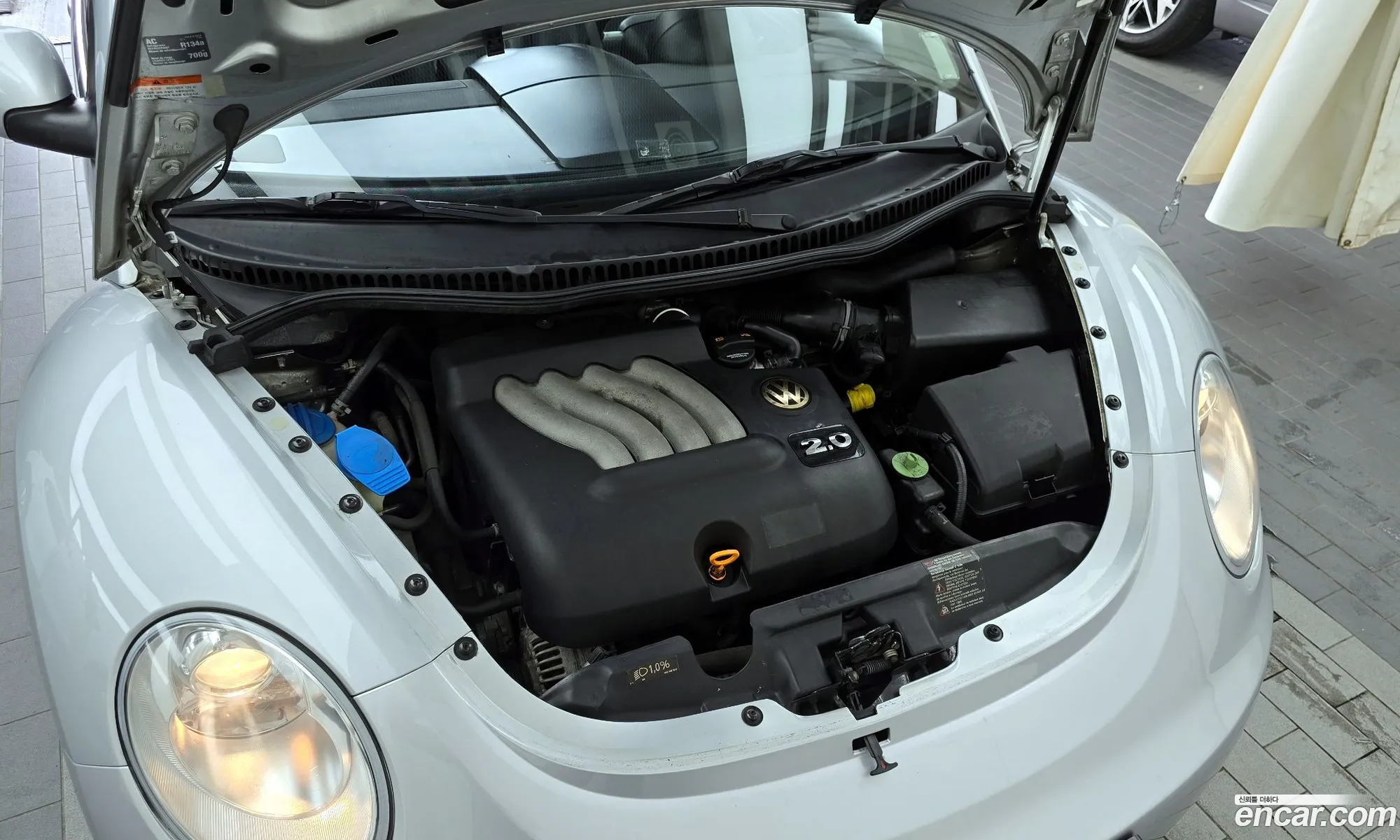 Volkswagen New Beetle 20 Cabriolet 1Y - фотография 12462861