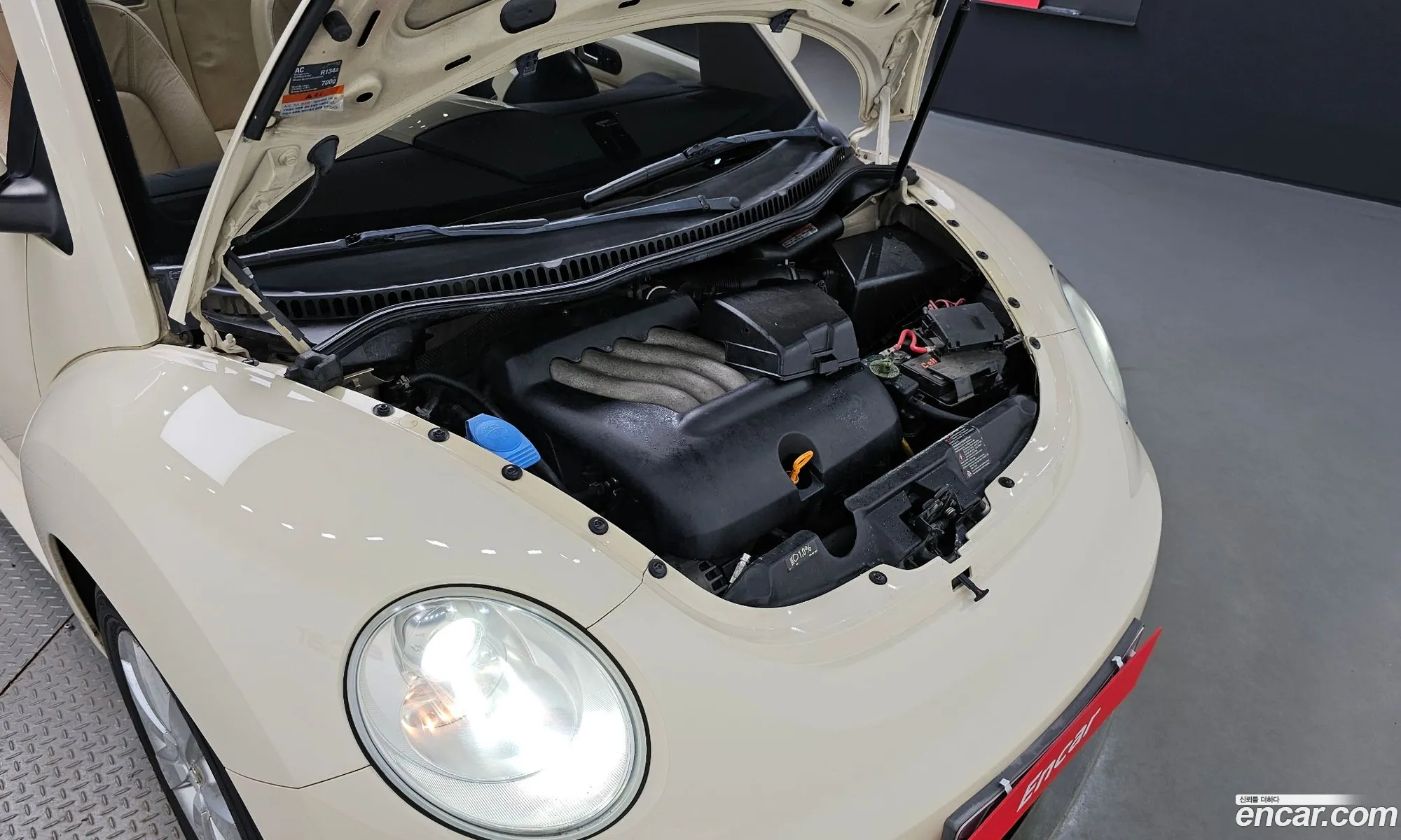 Volkswagen New Beetle 20 Cabriolet 1Y - фотография 8482592
