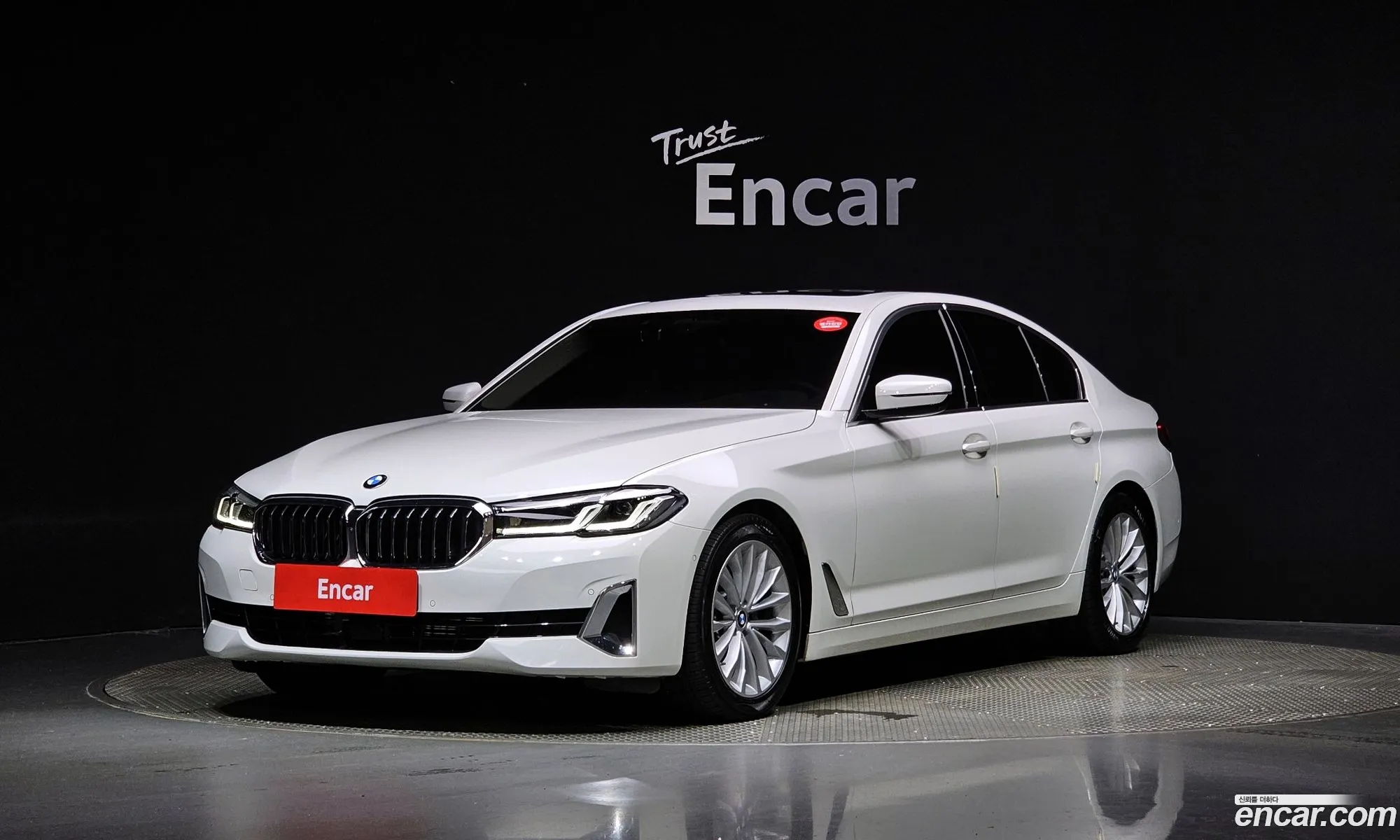 BMW 5 Series G30 520I Luxury - фотография 12310912