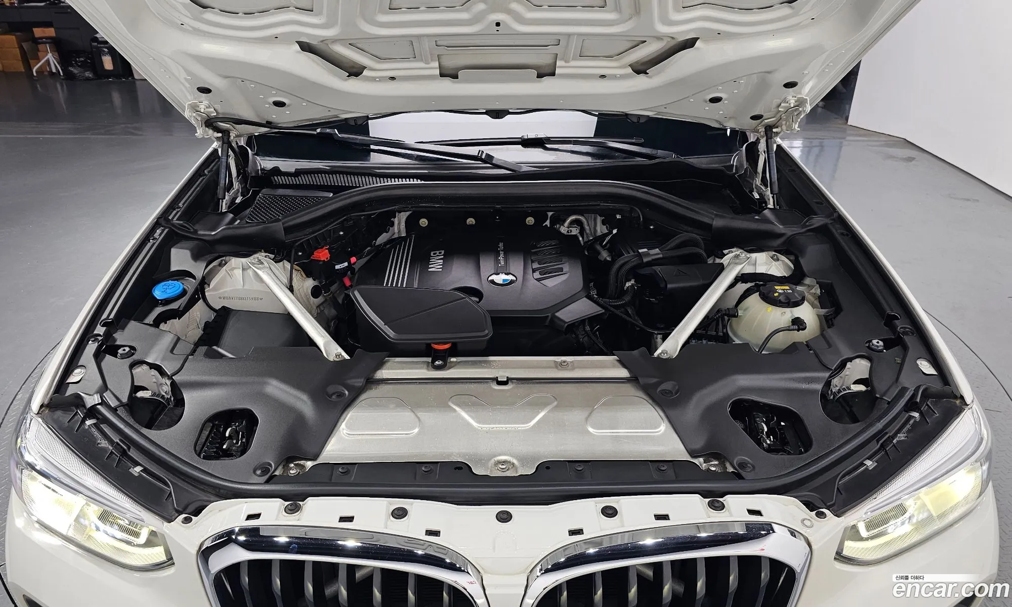 BMW X4 G02 xDrive20D M Sports - фотография 8372830
