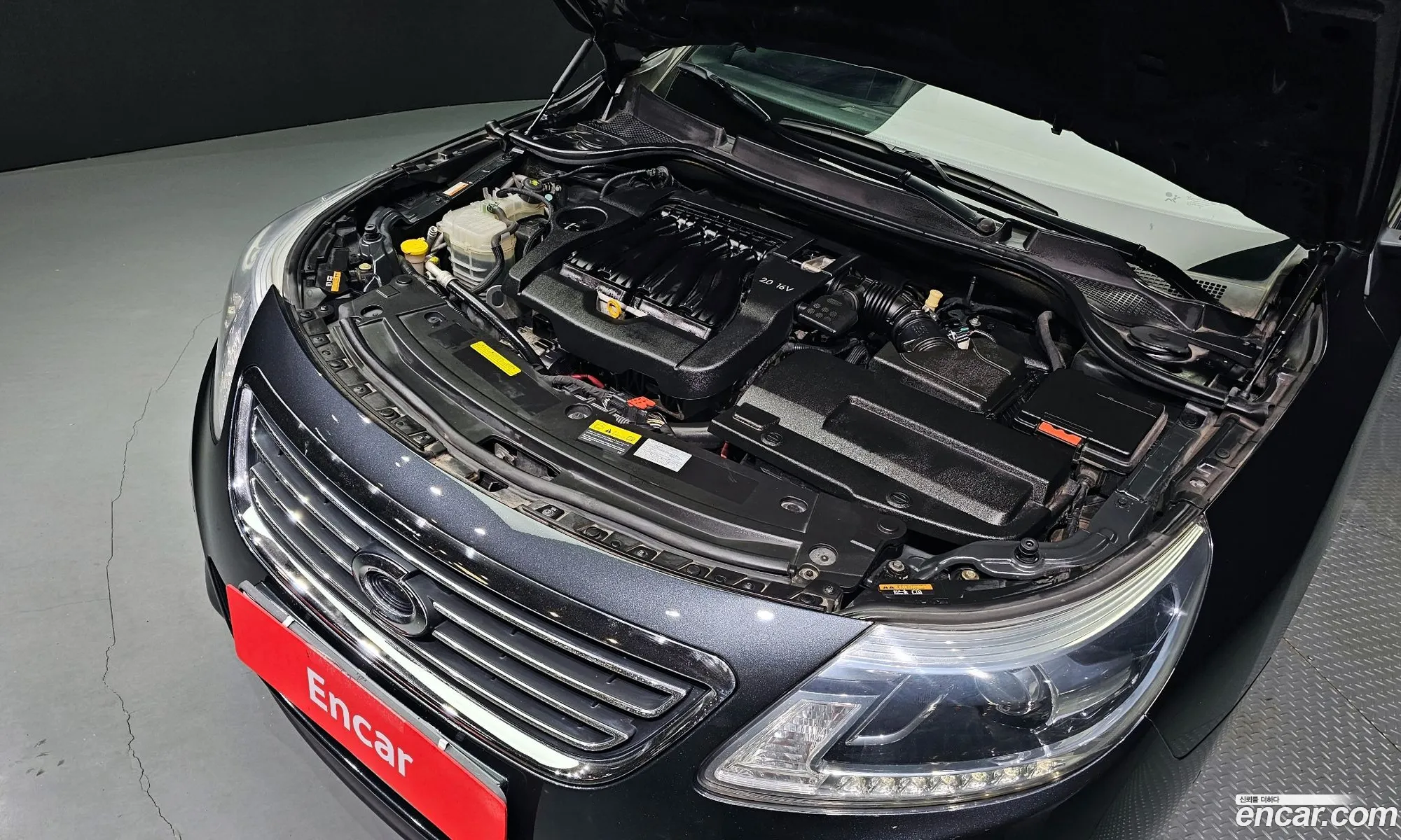 Renault Korea Samsung New Sm5 Platinum Re Basic Type - фотография 7171429