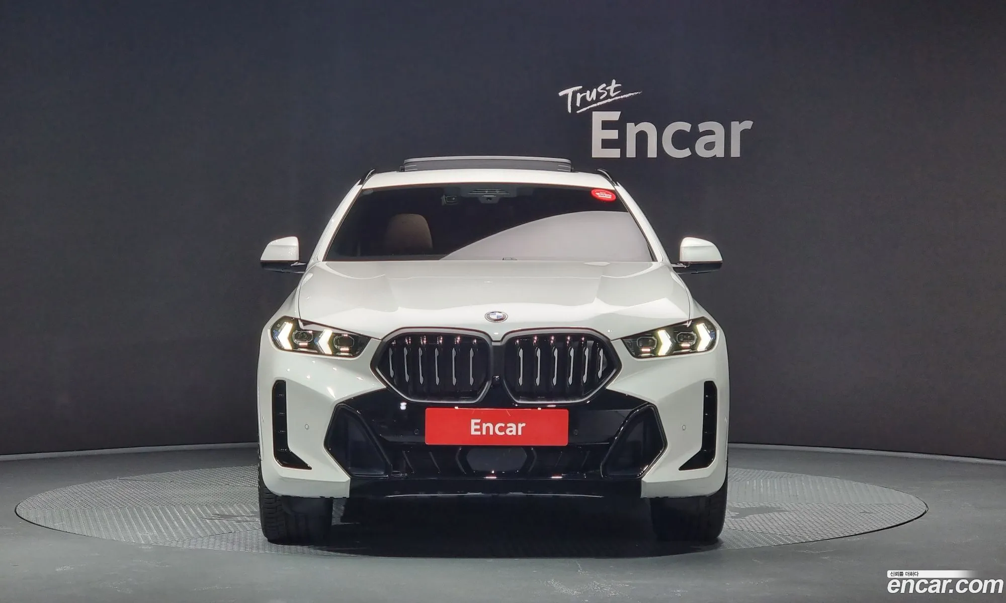 BMW X6 G06 xDrive40I M Sports - фотография 8663810