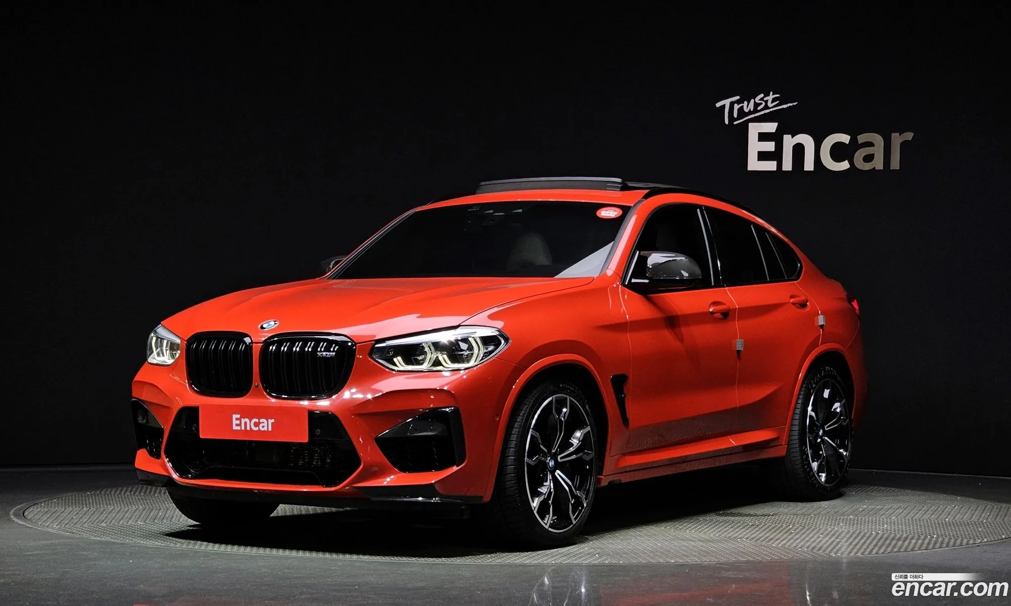 X4M G0230 Competition Carbon Package - фотография 19029449