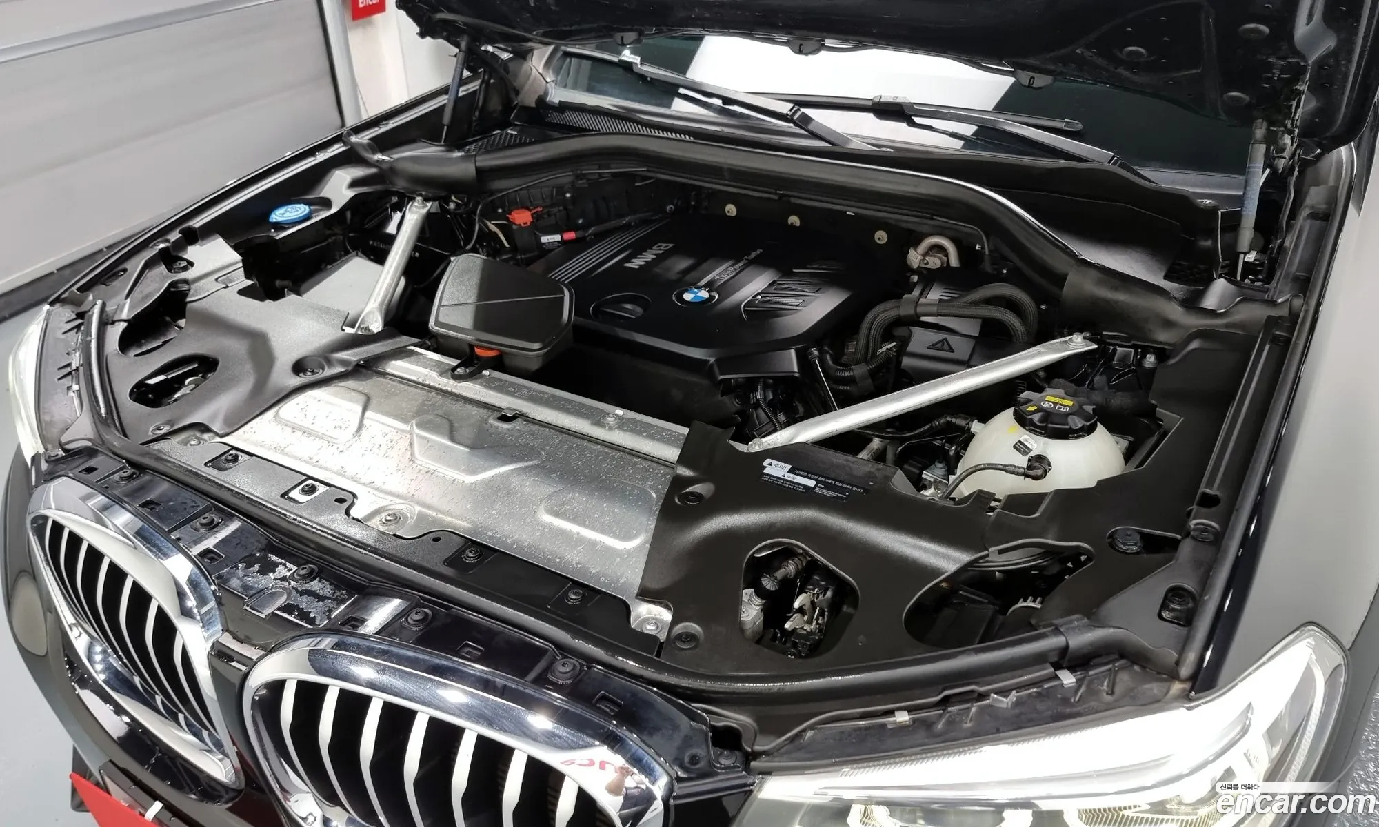 BMW X4 G02 xDrive20D Xline - фотография 7171320