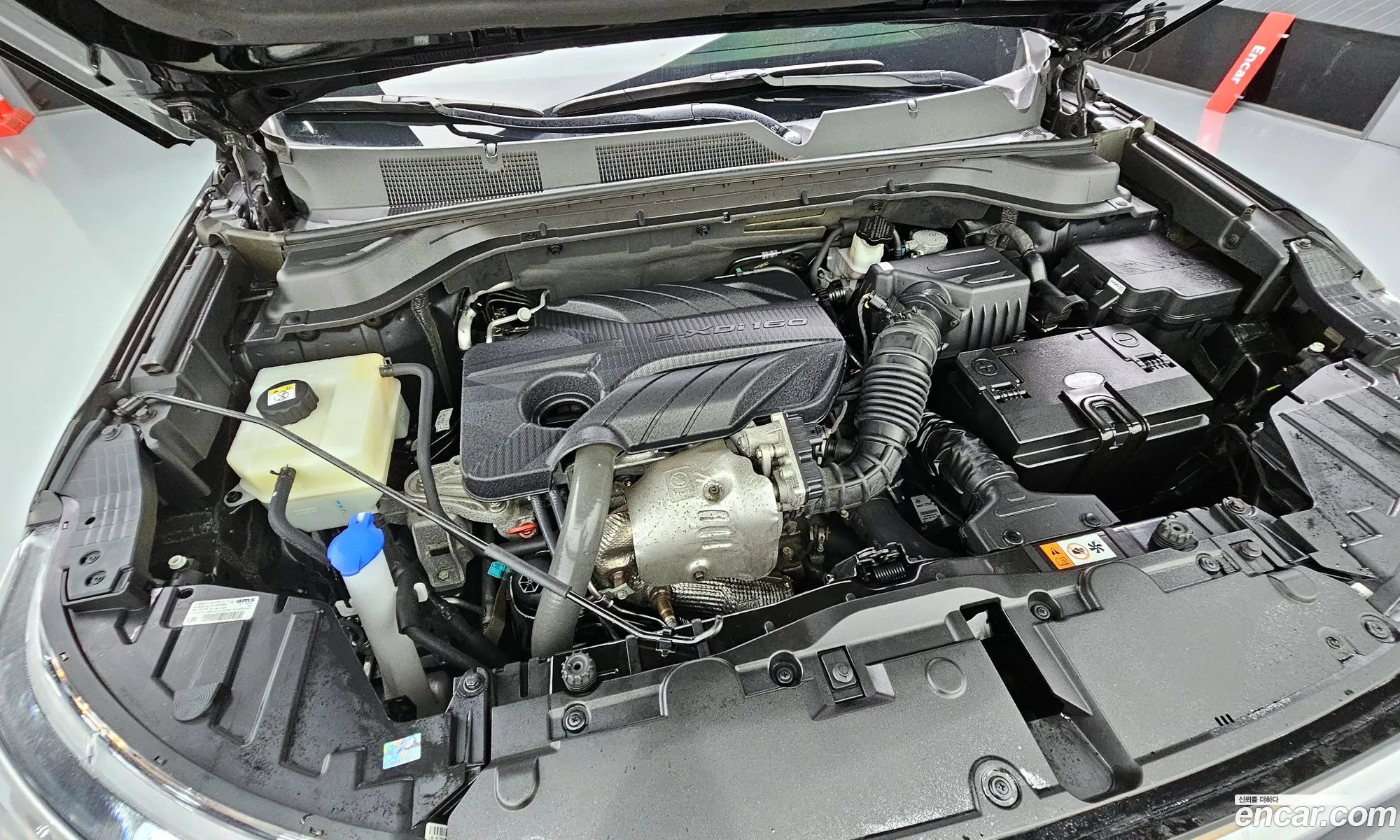 Kg Mobility Ssangyong Beautiful Korando Diesel 16 2Wd C5 Plus - фотография 7193316