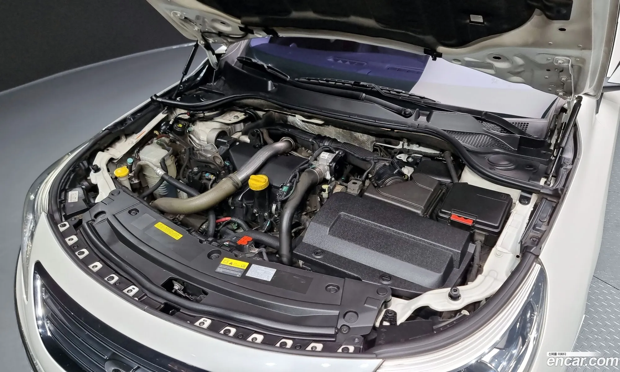 Renault Korea Samsung New Sm5 Platinum Diesel D Special - фотография 8317134