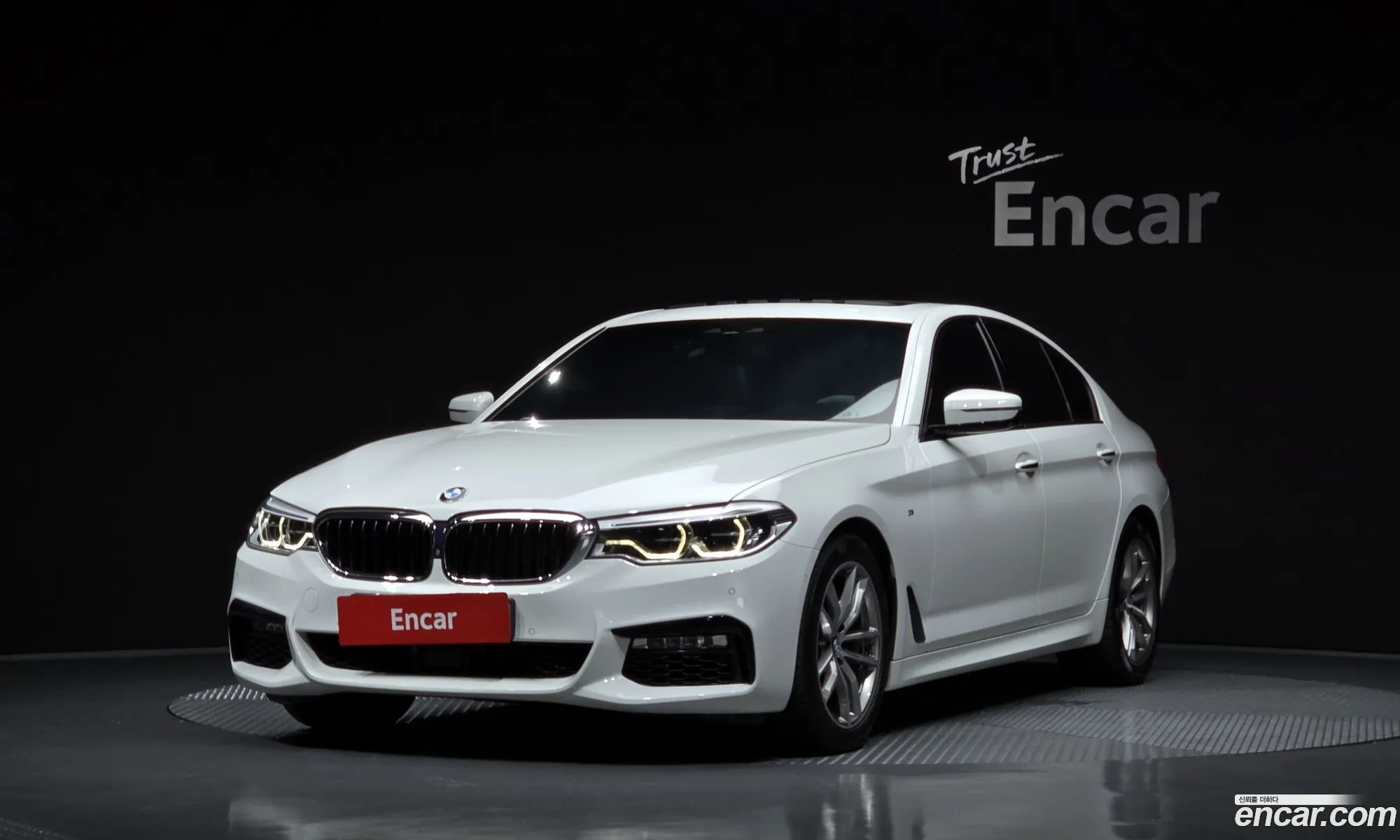 BMW 5 Series G30 520D xDrive M Sport Plus - фотография 15003041
