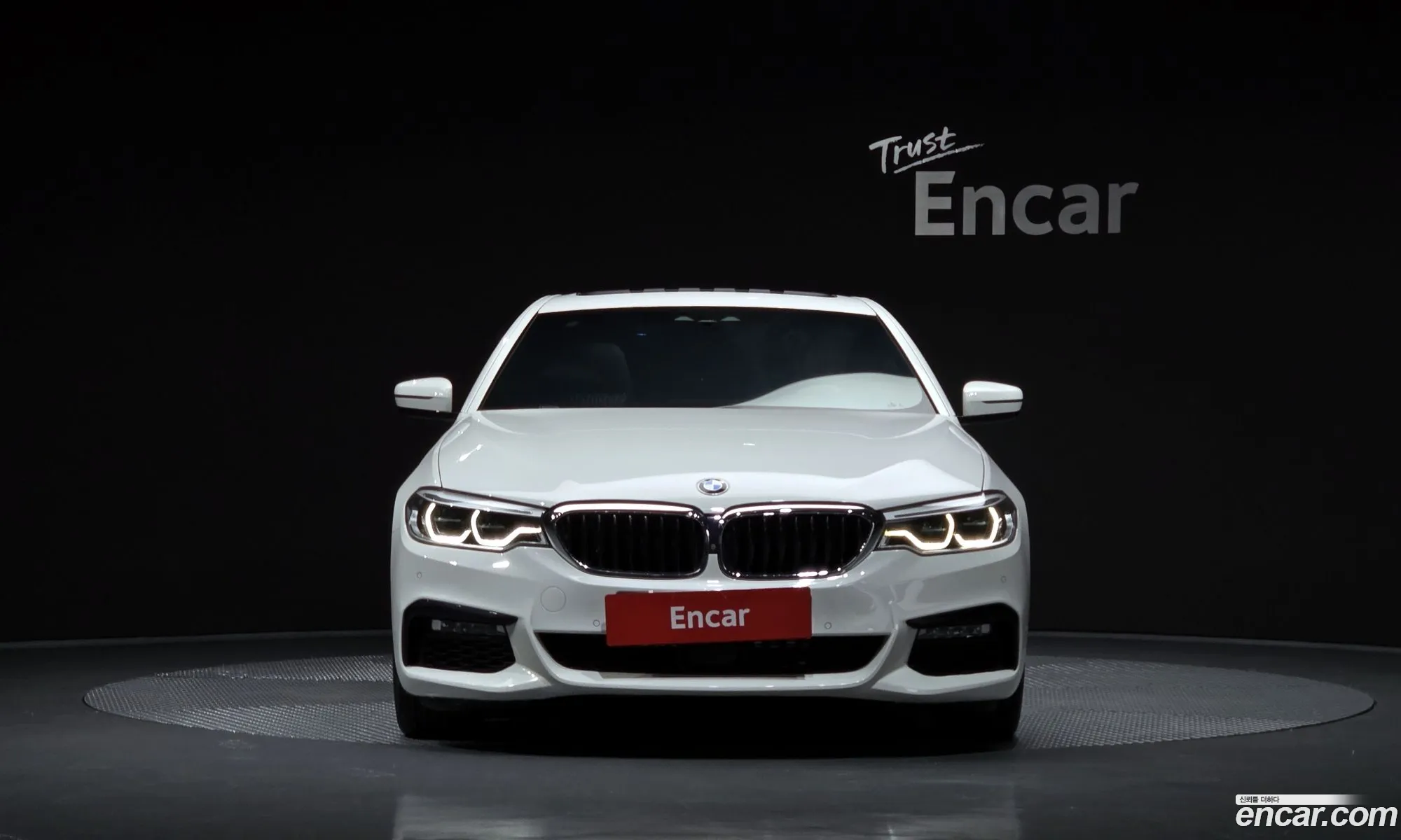BMW 5 Series G30 520D xDrive M Sport Plus - фотография 15003043