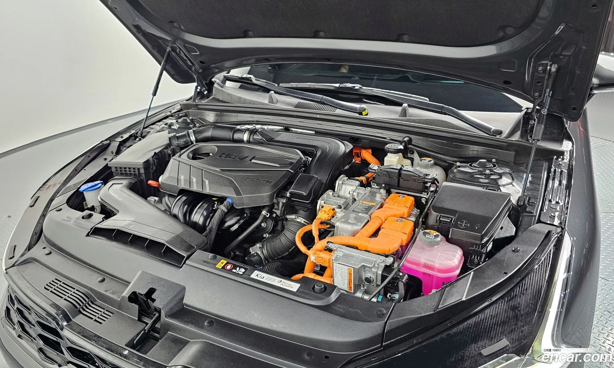 Kia K5 Hybrid 3Rd Generation Signature - фотография 12611424
