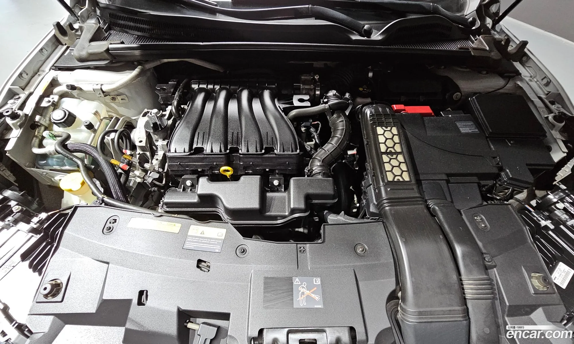 Renault Korea Samsung Sm6 20 Lpe Se For The Disabled - фотография 7258087