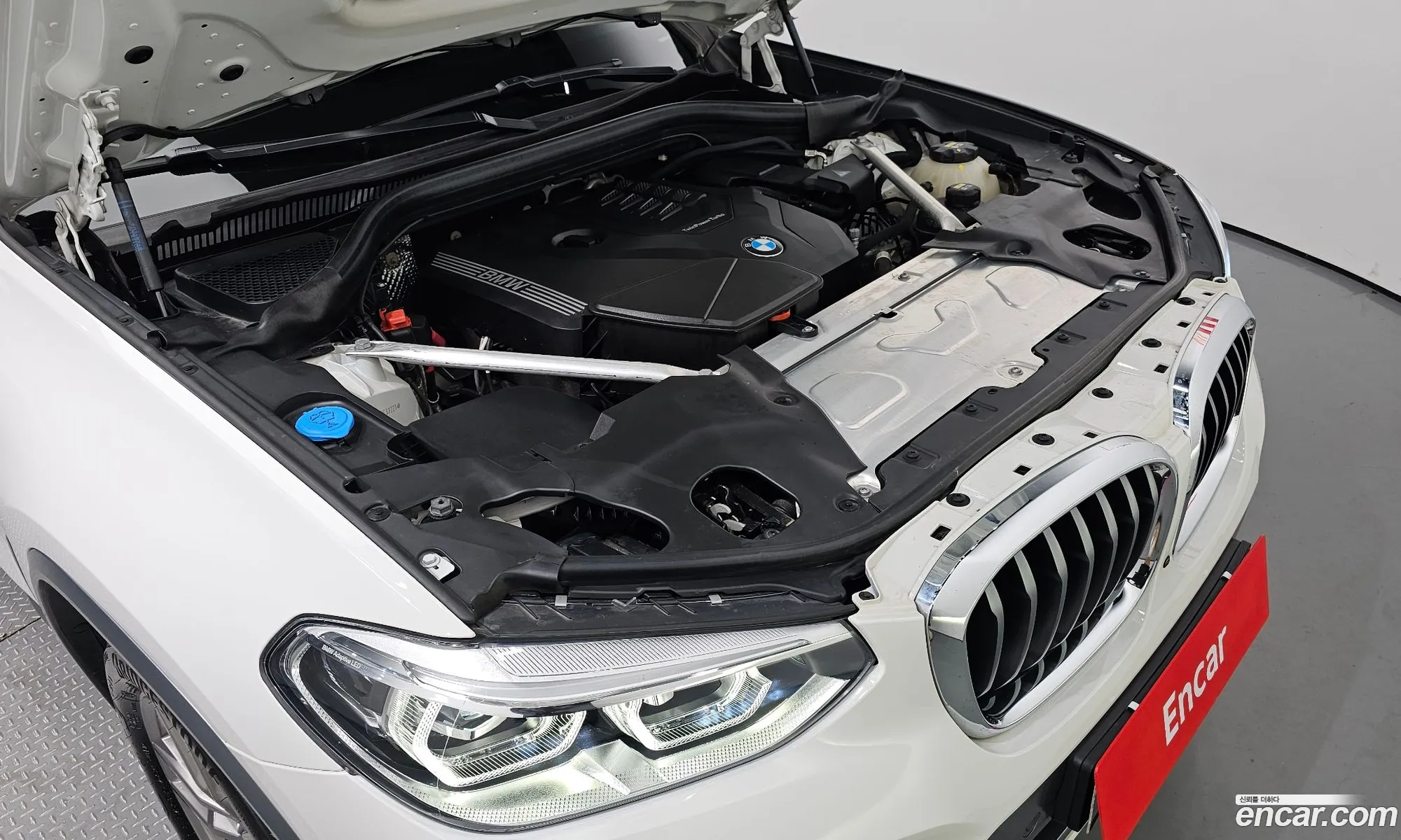 BMW X4 G02 xDrive20I M Sports - фотография 18486620