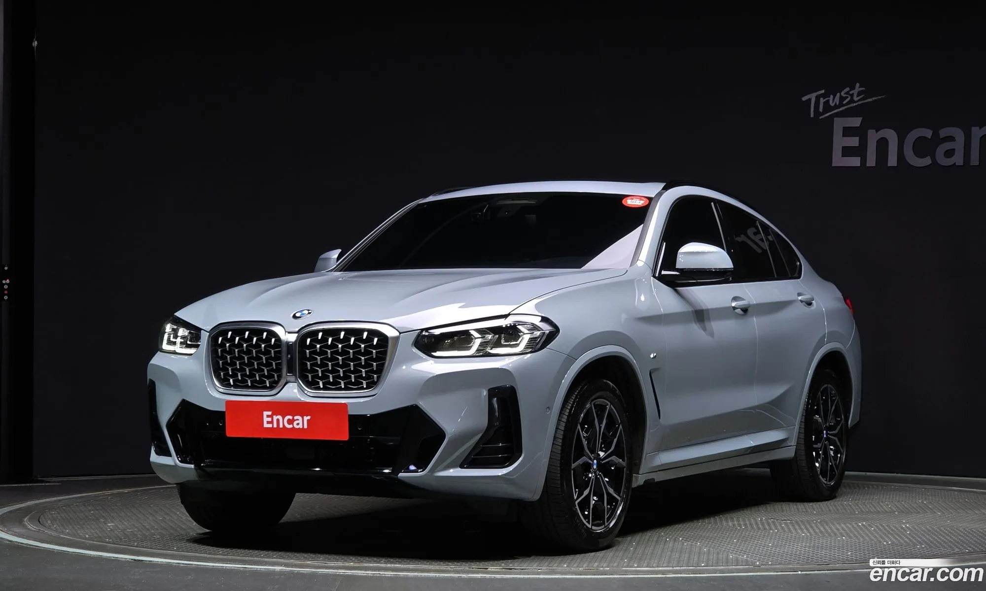 BMW X4 G02 xDrive20I M Sports - фотография 6913934