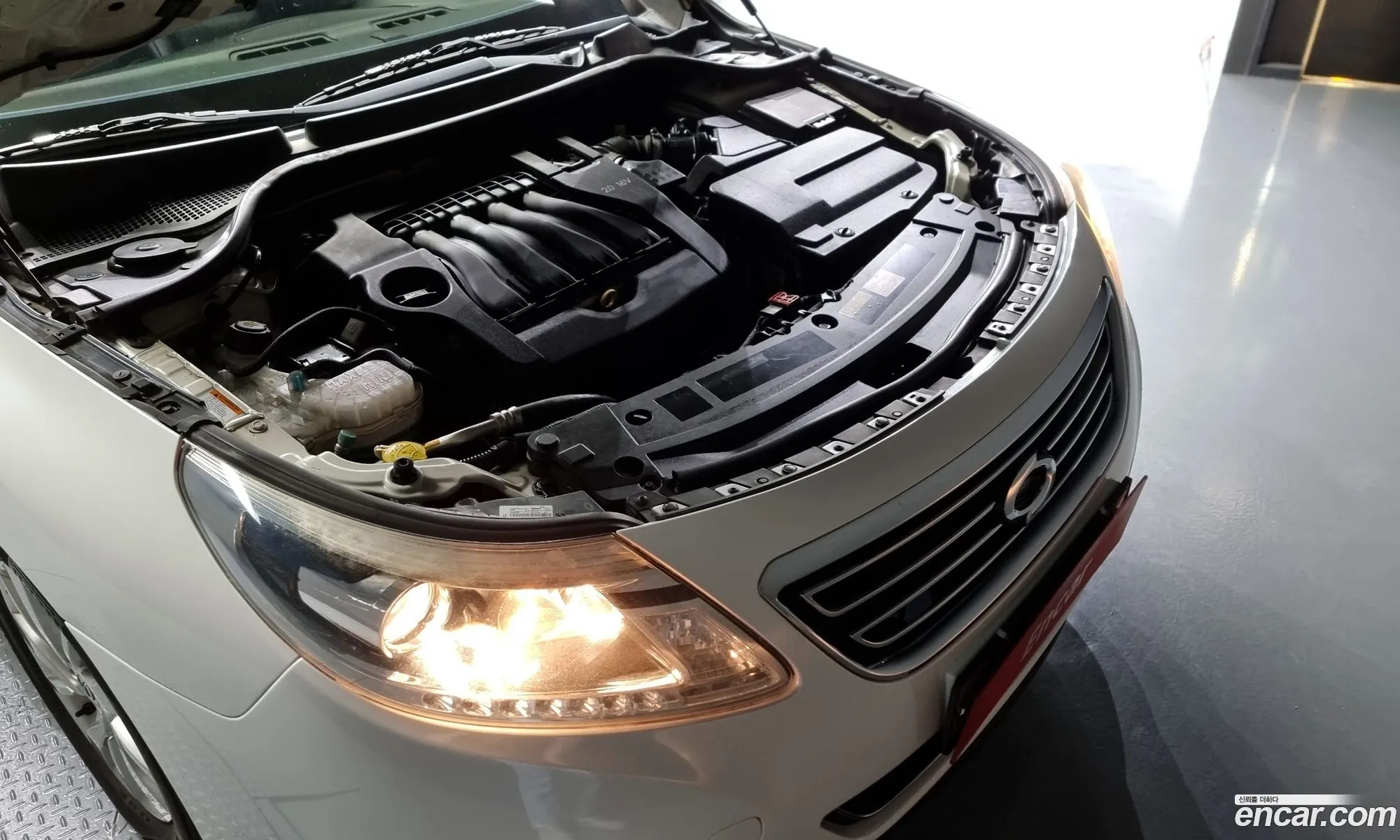 Renault Korea Samsung New Sm5 Platinum Se Plus - фотография 7258365
