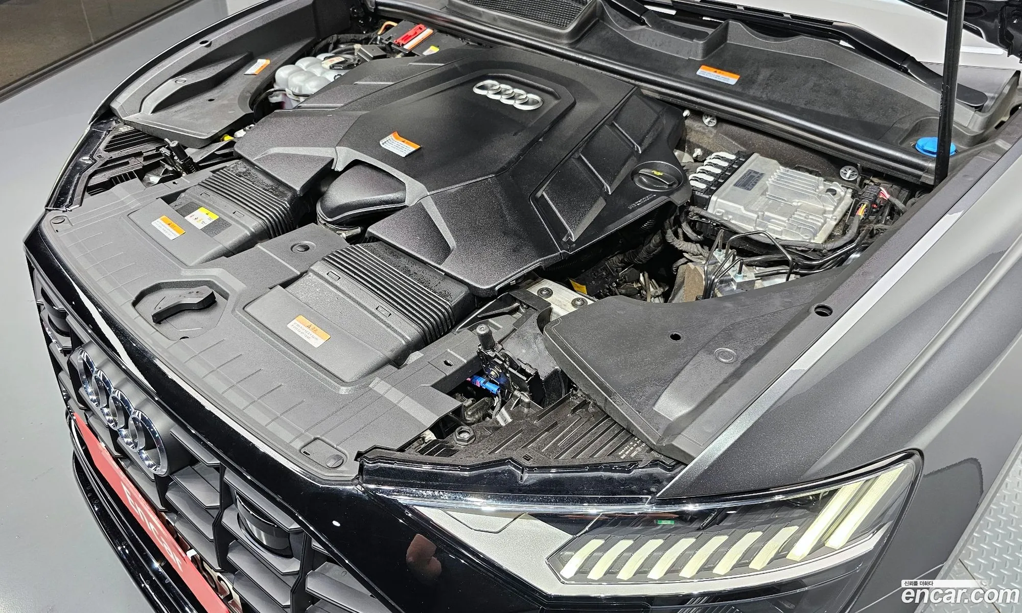 Audi Q8 4M 55 Tfsi Quattro Premium - фотография 1450573