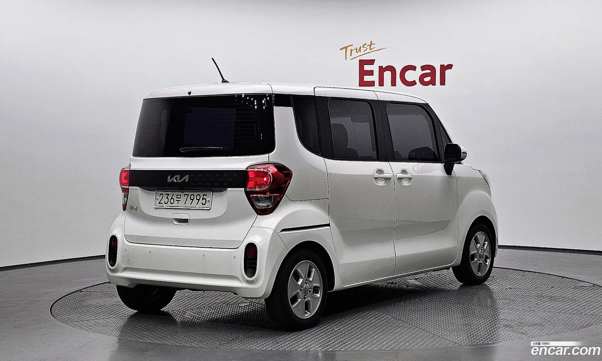 Kia The New Ray Trendy - фотография 12640709