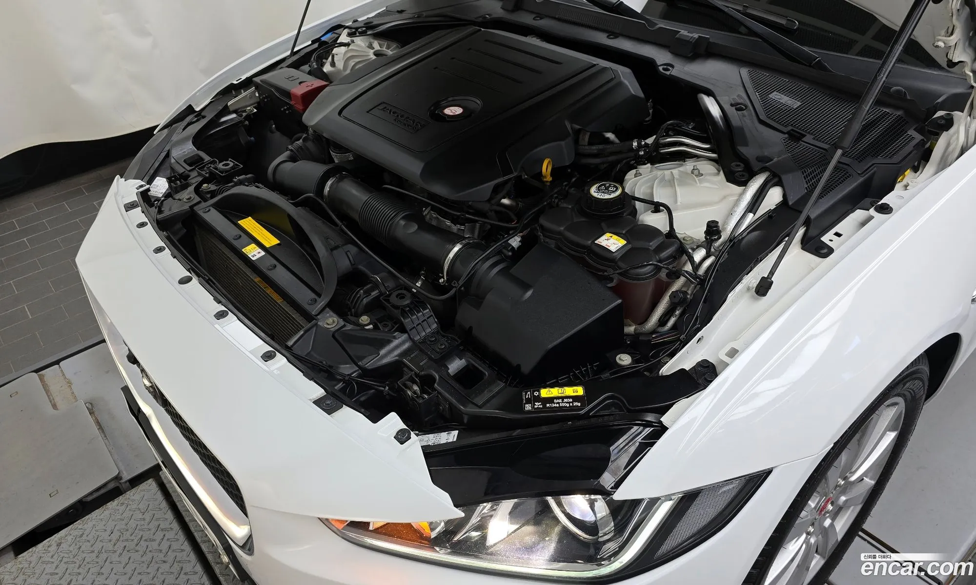 Jaguar Xe 20D Prestige - фотография 3902991