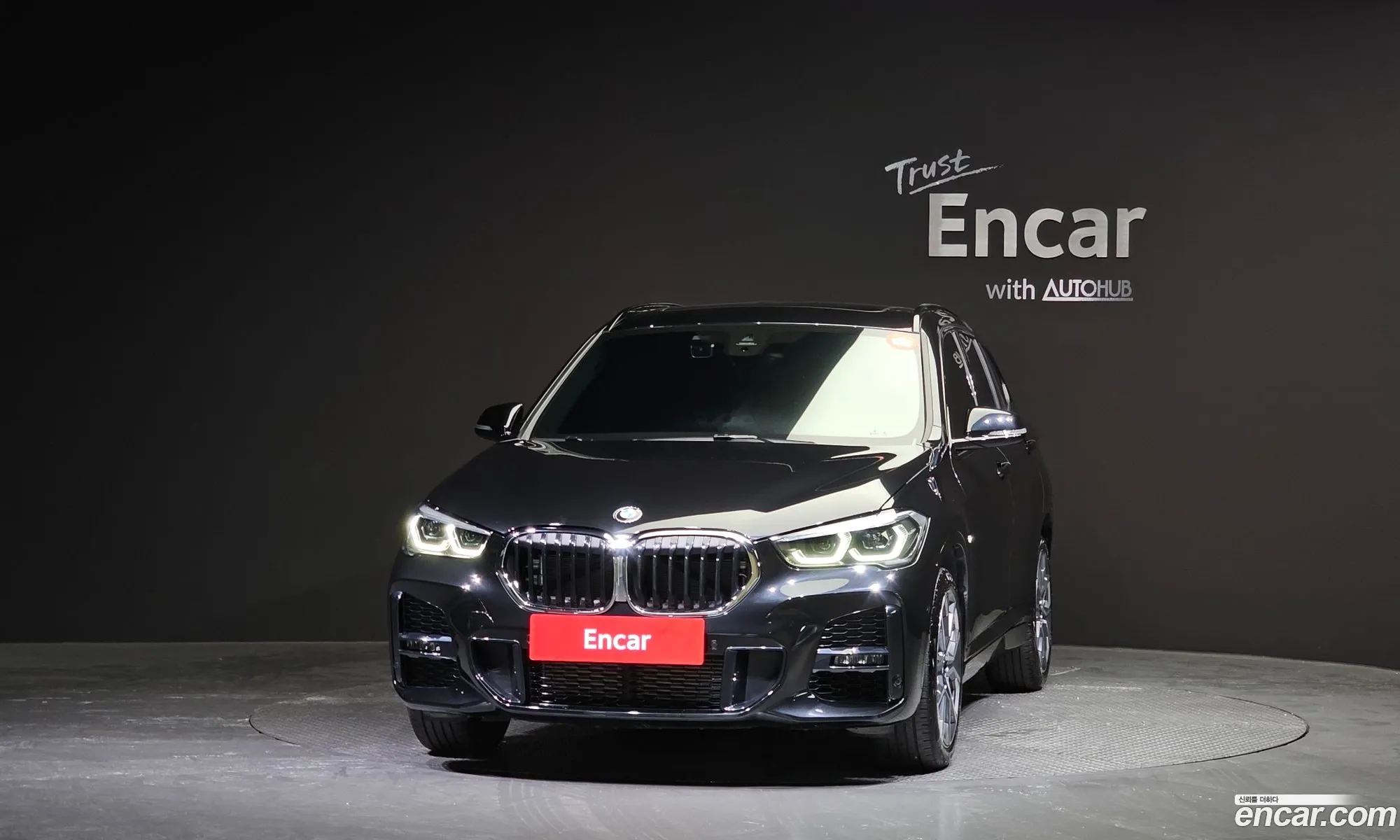 BMW X1 F48 xDrive 20I M Sport - фотография 14054859