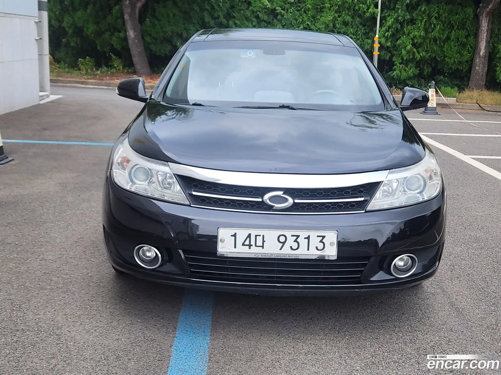 Renault Korea Samsung New Sm5 New Model Se Plus - фотография 19580699