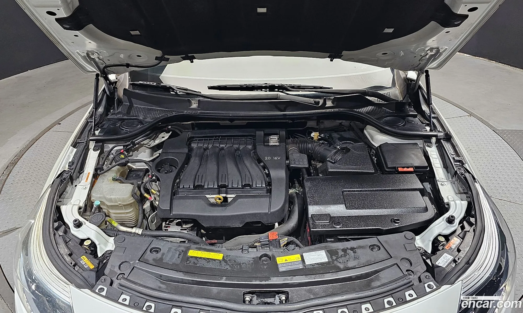 Renault Korea Samsung New Sm5 Platinum Lpli Re Basic Type - фотография 7359262