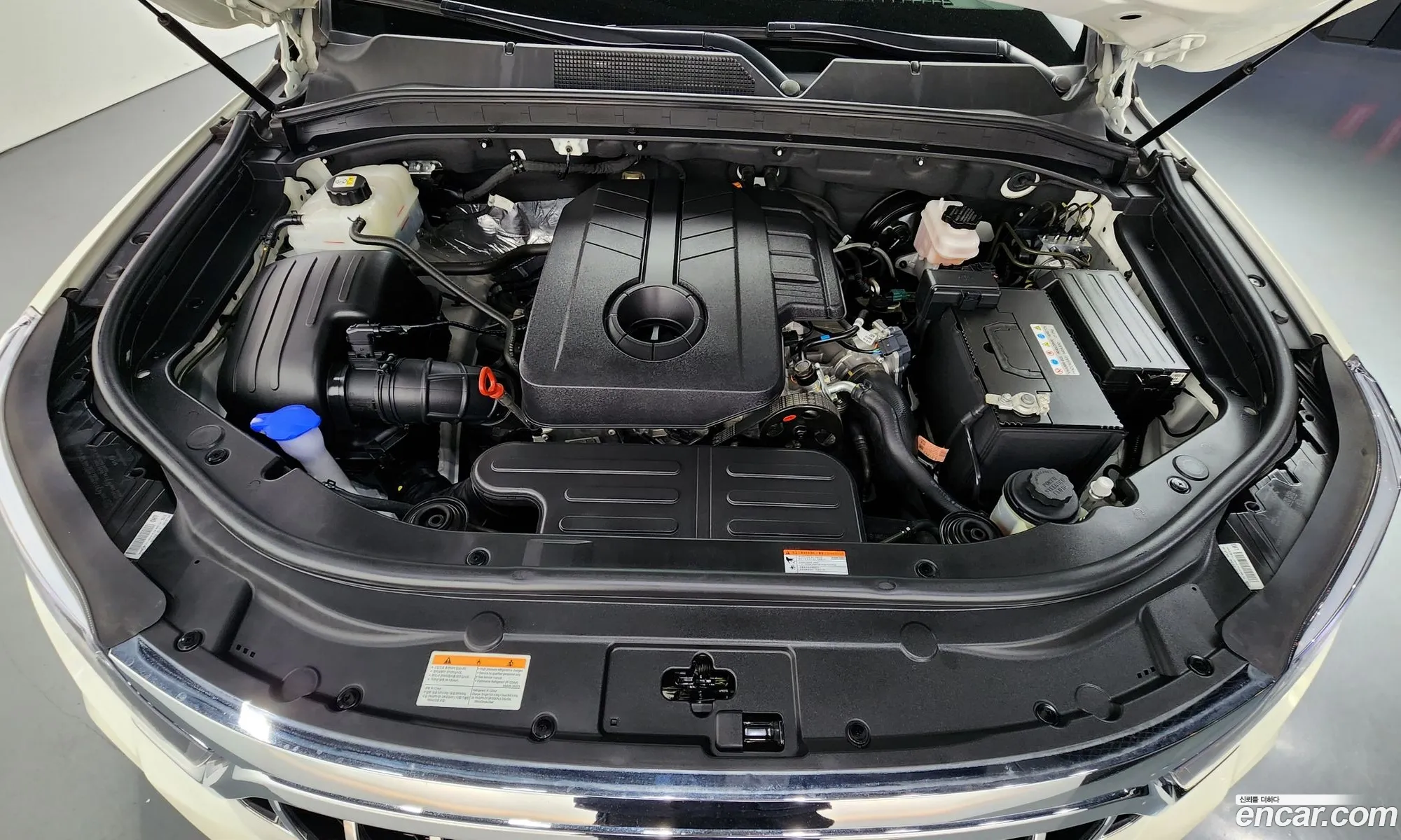 Kg Mobility Ssangyong Rexton Sports Khan Diesel 22 4Wd Pioneer S Leaf - фотография 7300108
