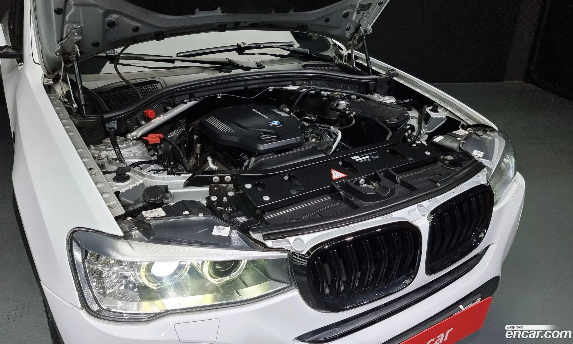 BMW X4 F26 xDrive20D - фотография 8222261