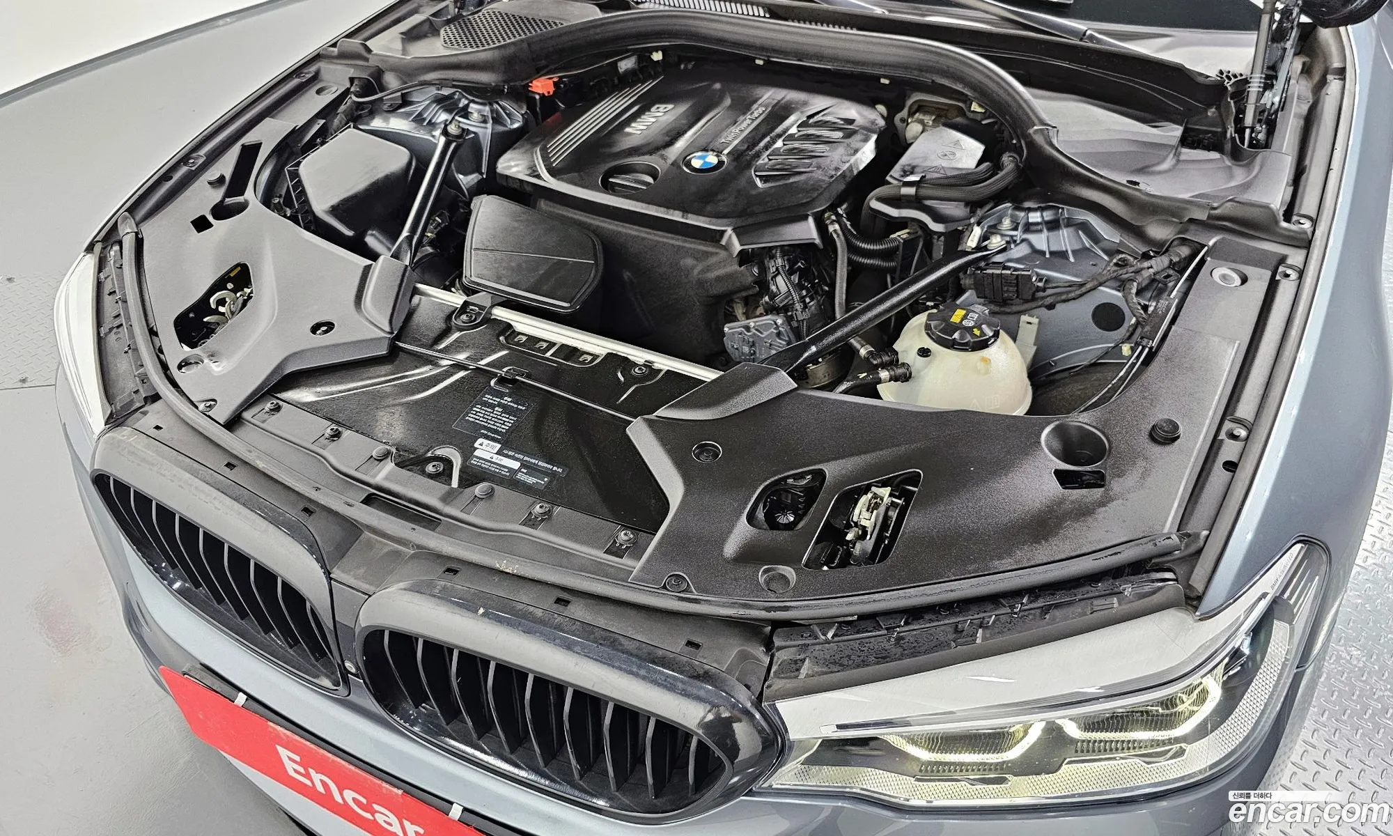 BMW 5 Series G30 520D xDrive M Sport Plus - фотография 4824618