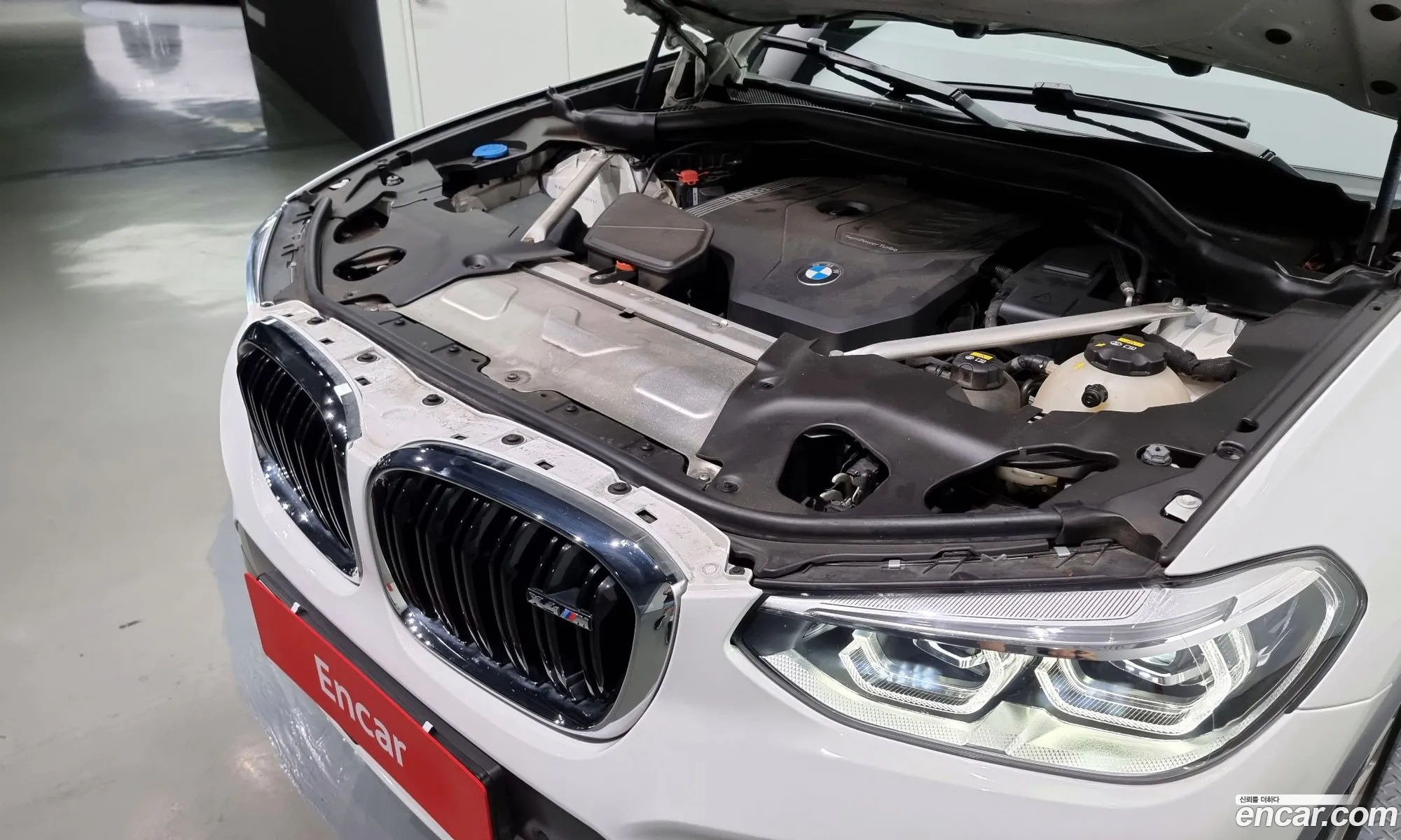BMW X4 G02 xDrive20I M Sports - фотография 8221307