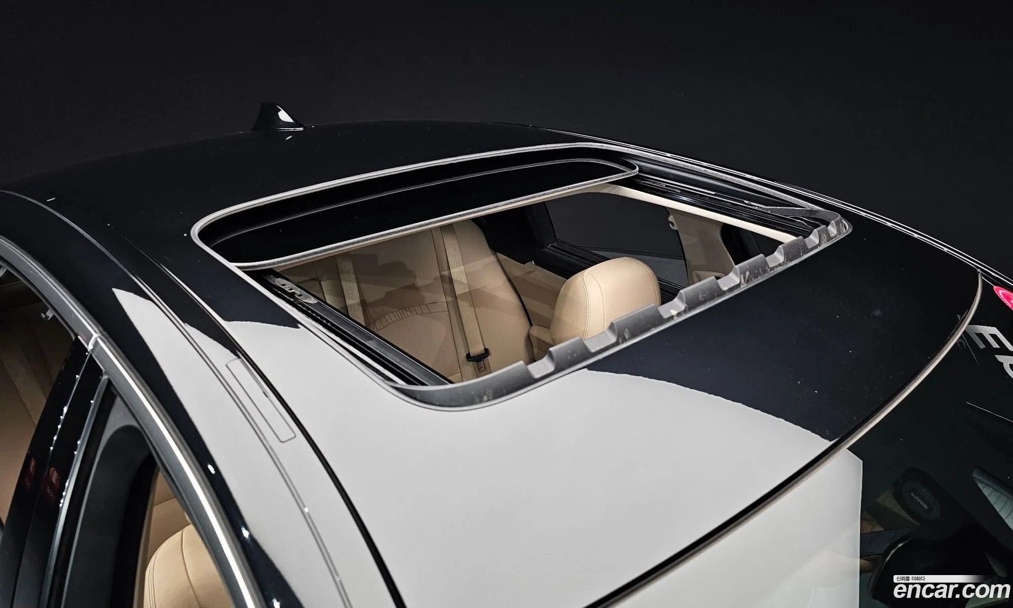 Korex Auto Trade - фотография 18541028