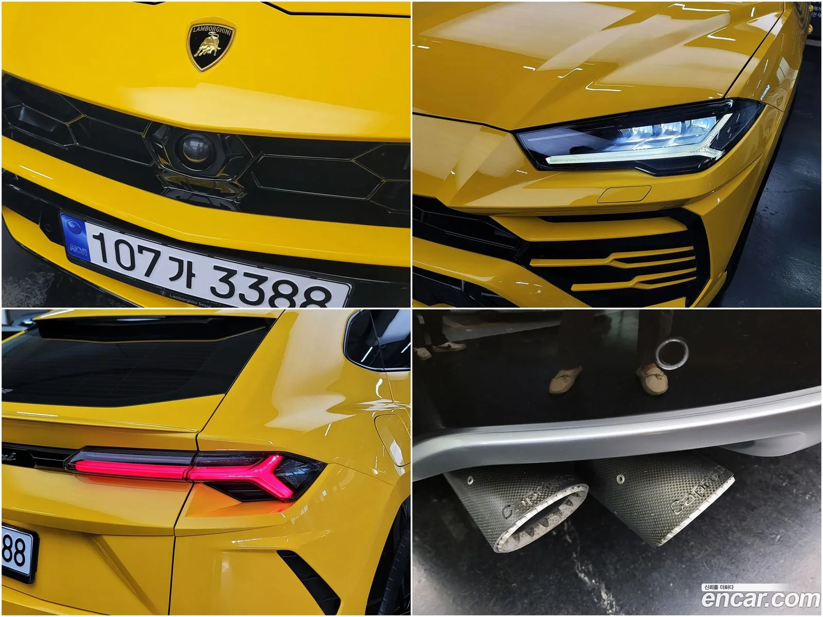 Lamborghini Urus 40 V8 - фотография 3748919
