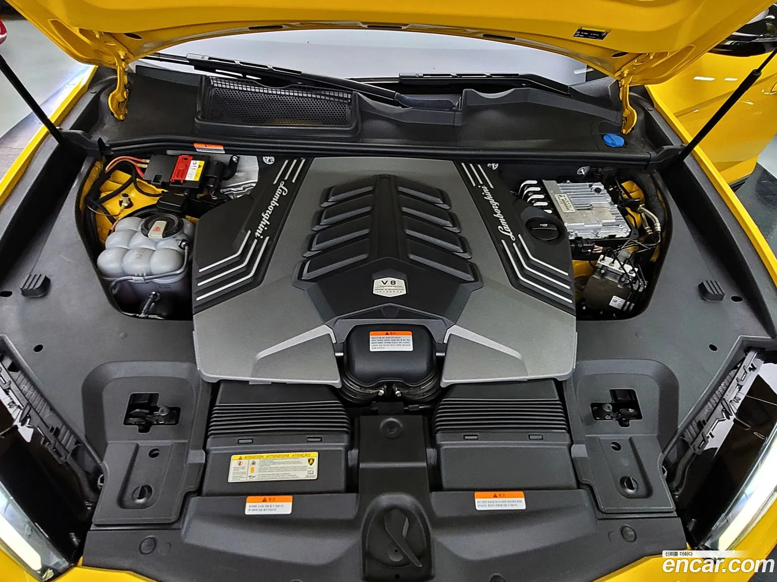 Lamborghini Urus 40 V8 - фотография 3748920