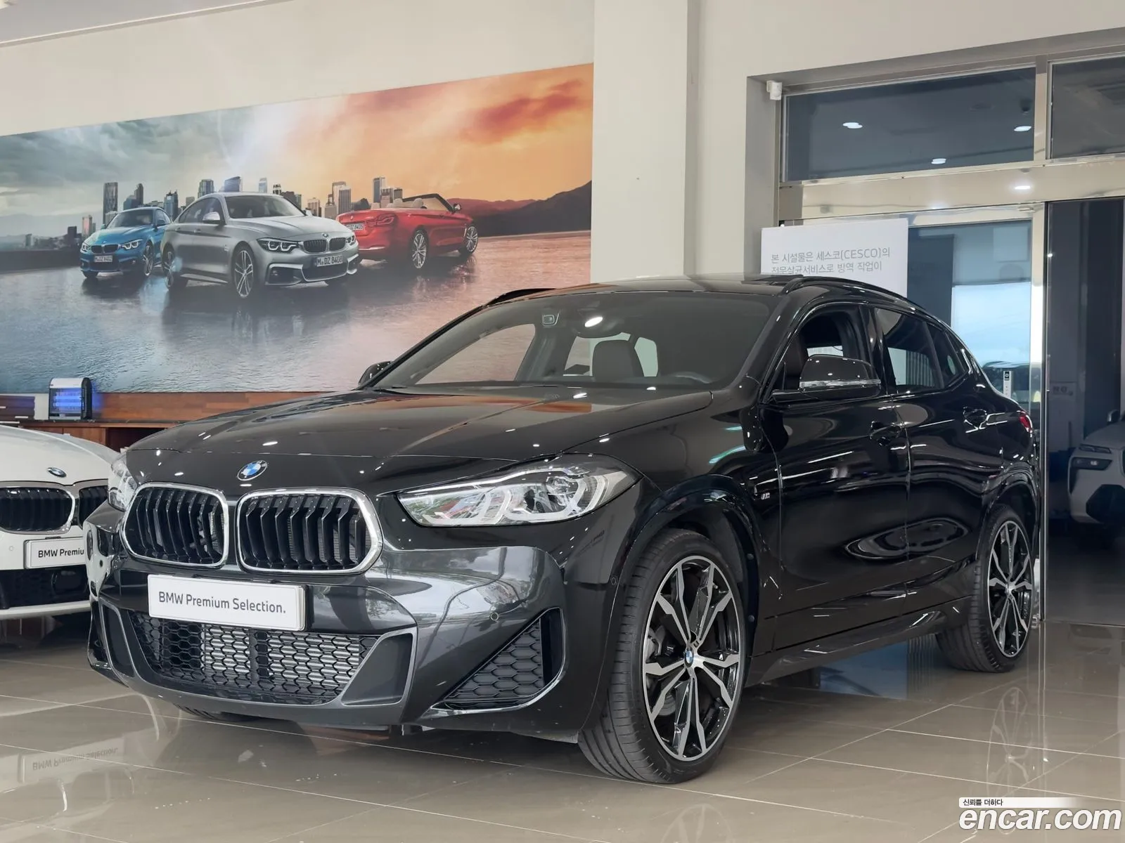 BMW X2 F39 xDrive20I M Sports - фотография 18495987