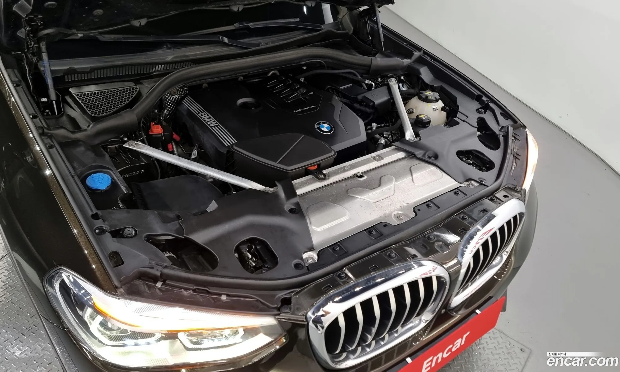 BMW X4 G02 xDrive20I Xline - фотография 8583149