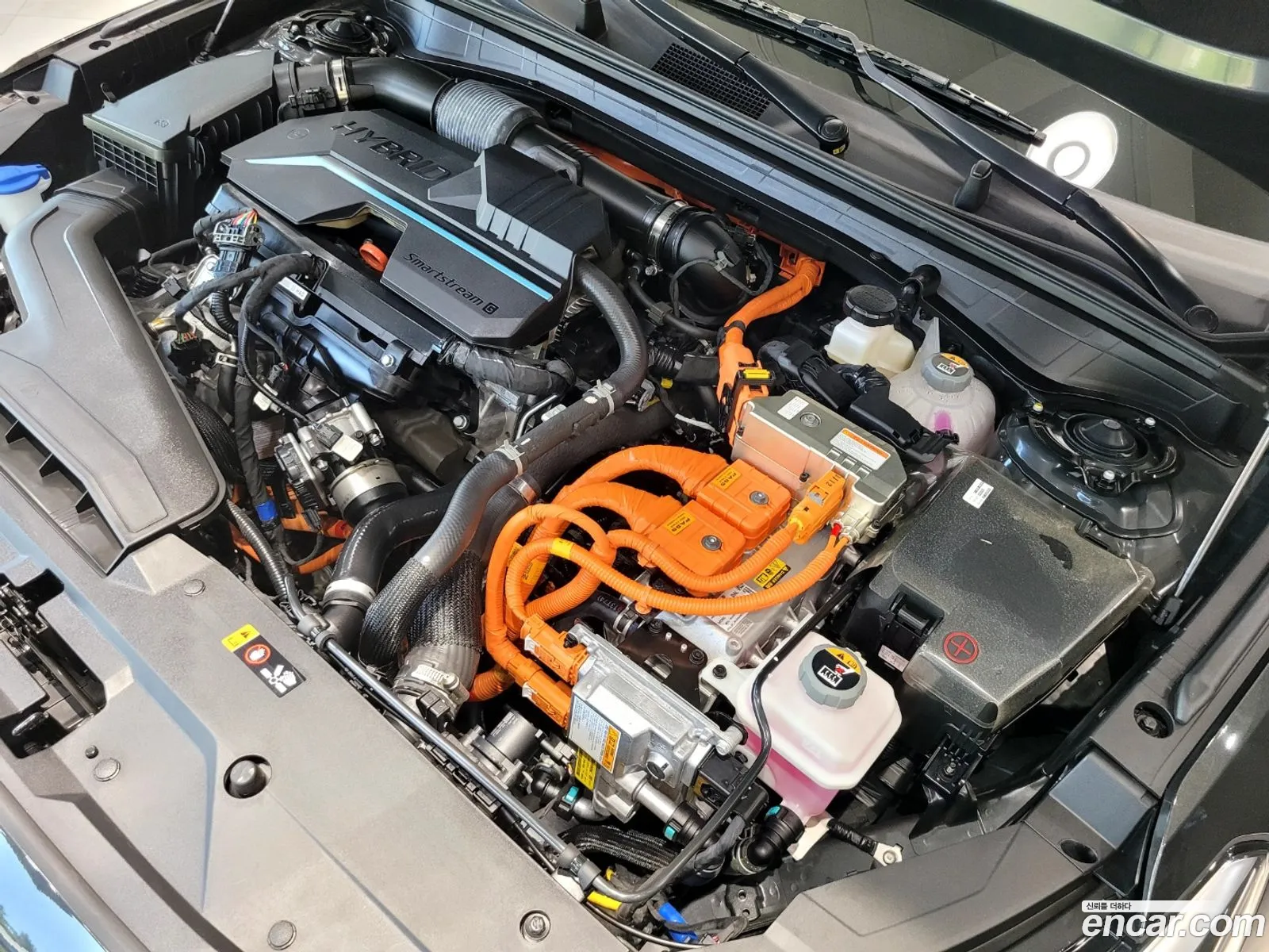 Kia K8 Hybrid Noblesse - фотография 12640761