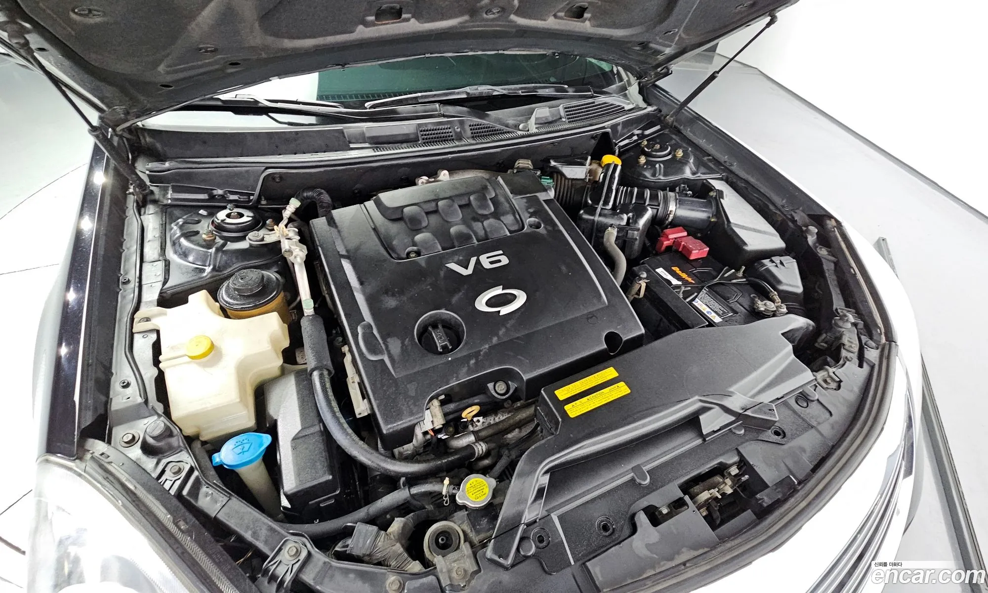 Renault Korea Samsung Sm7 New Art Prestige - фотография 8429904