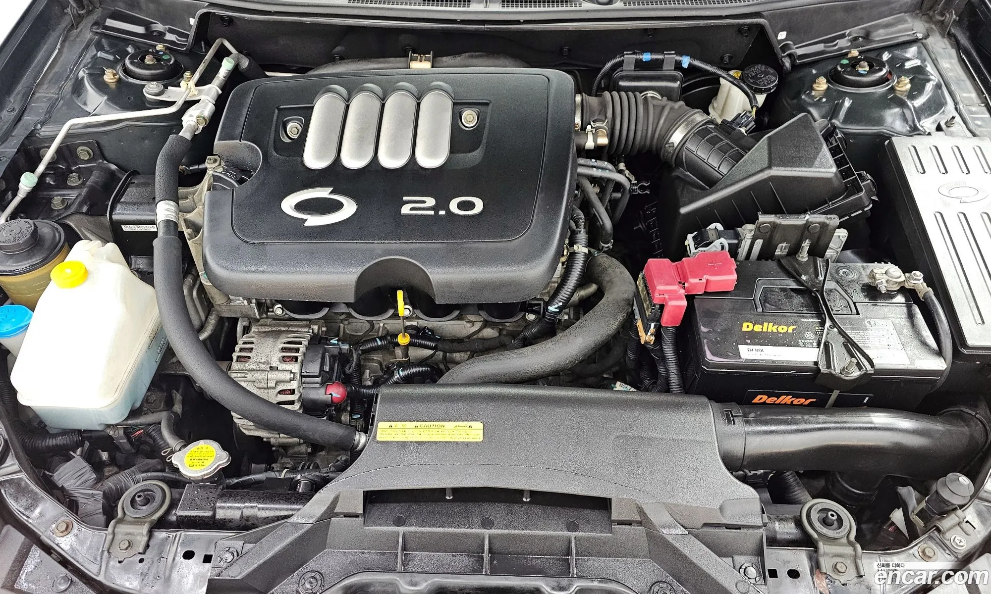 Renault Korea Samsung New Sm5 Se - фотография 7361781