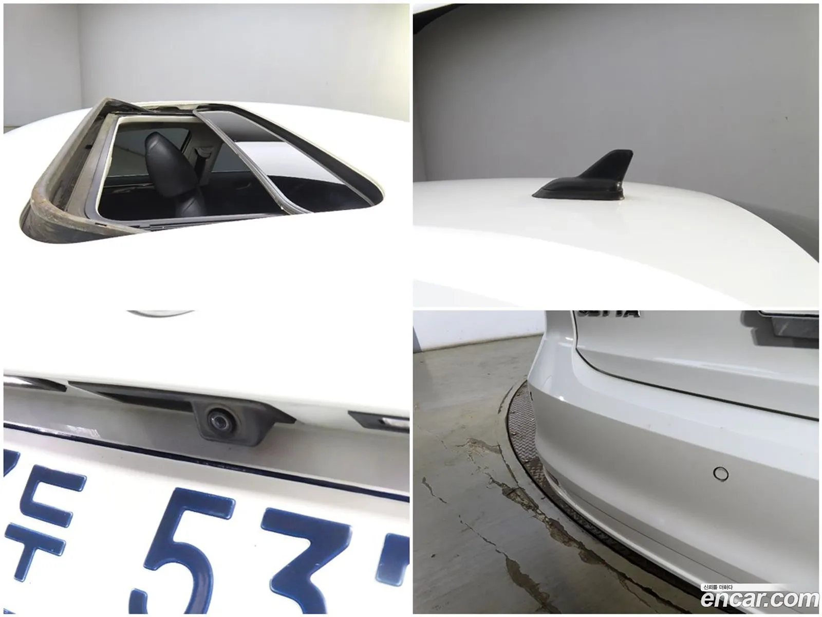 Korex Auto Trade - фотография 12695615