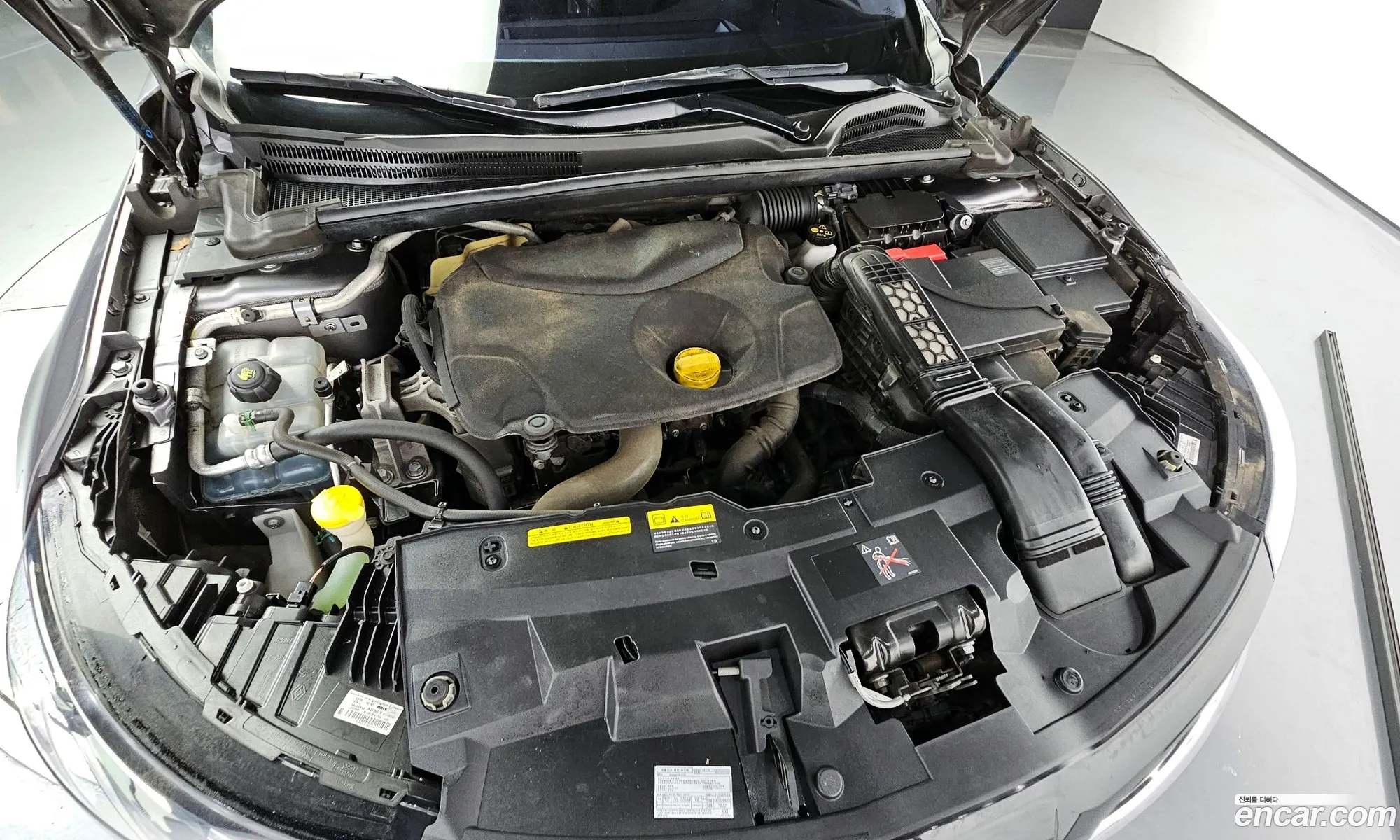 Renault Korea Samsung Sm6 15 Dci Le - фотография 8144951