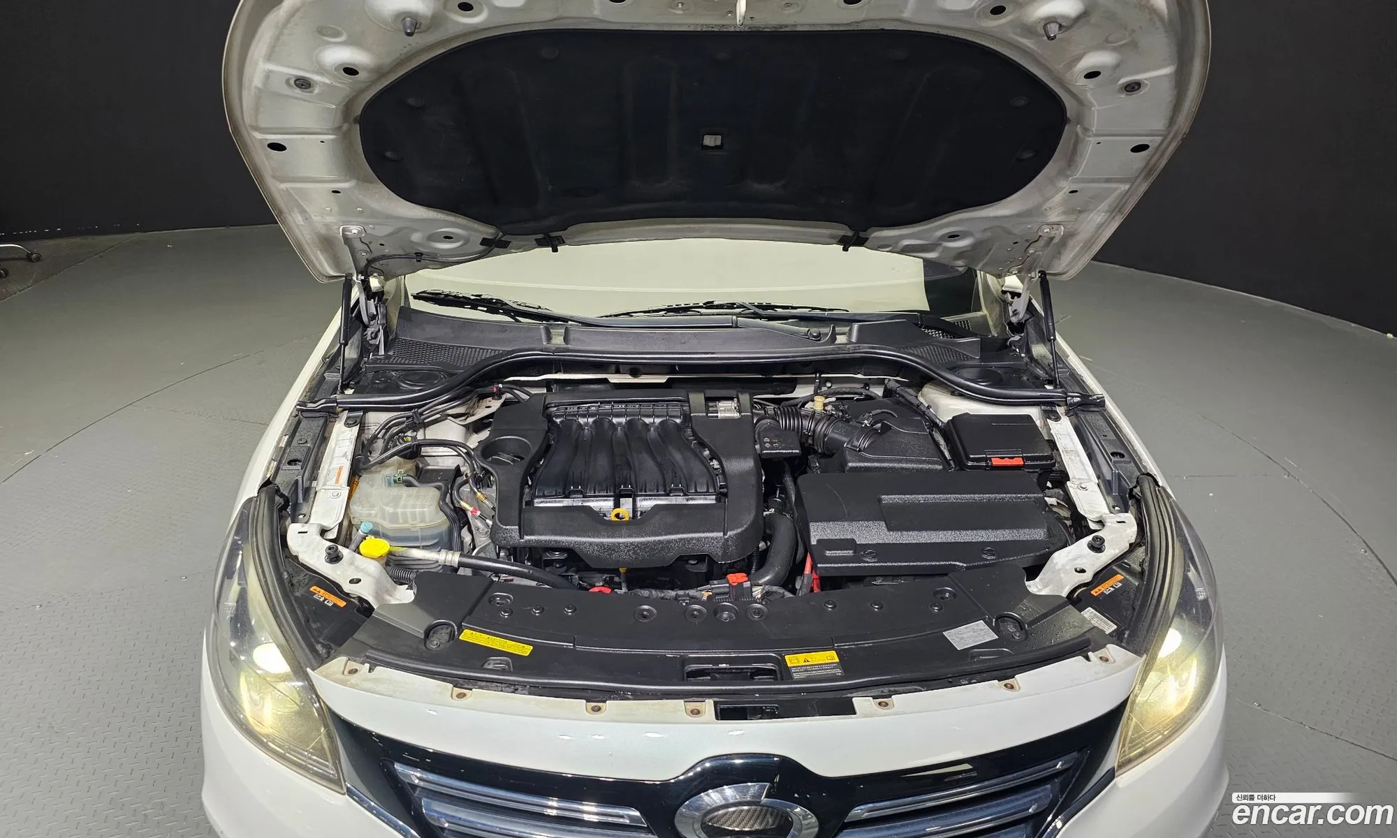 Renault Korea Samsung Sm7 Nova Lpli 20 Lpe For The Disabled - фотография 7652666
